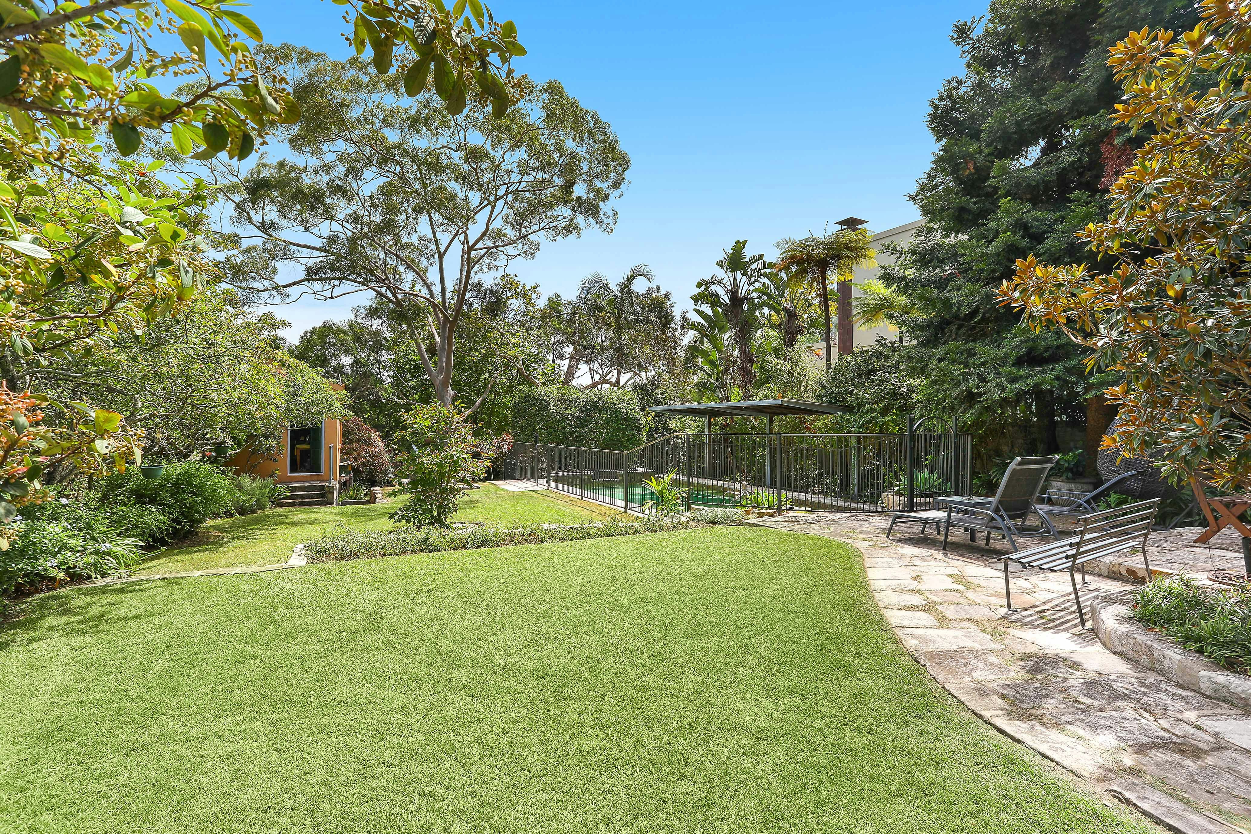 Image of backyard