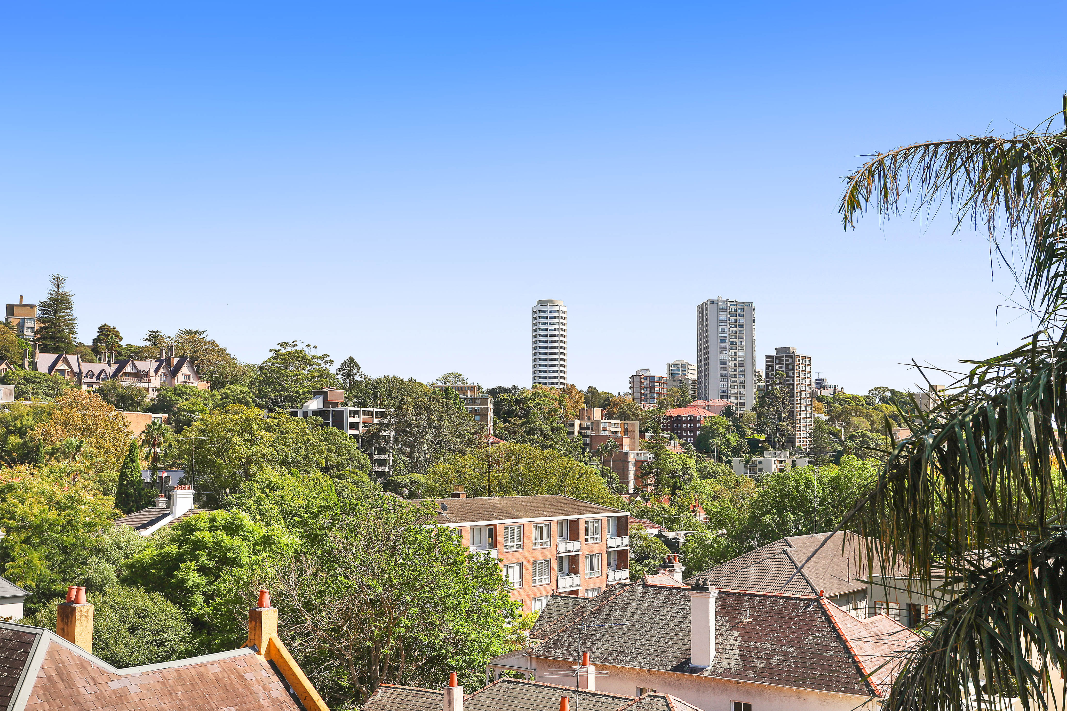 8/286 New South Head Road, Double Bay - Thumbnail 6