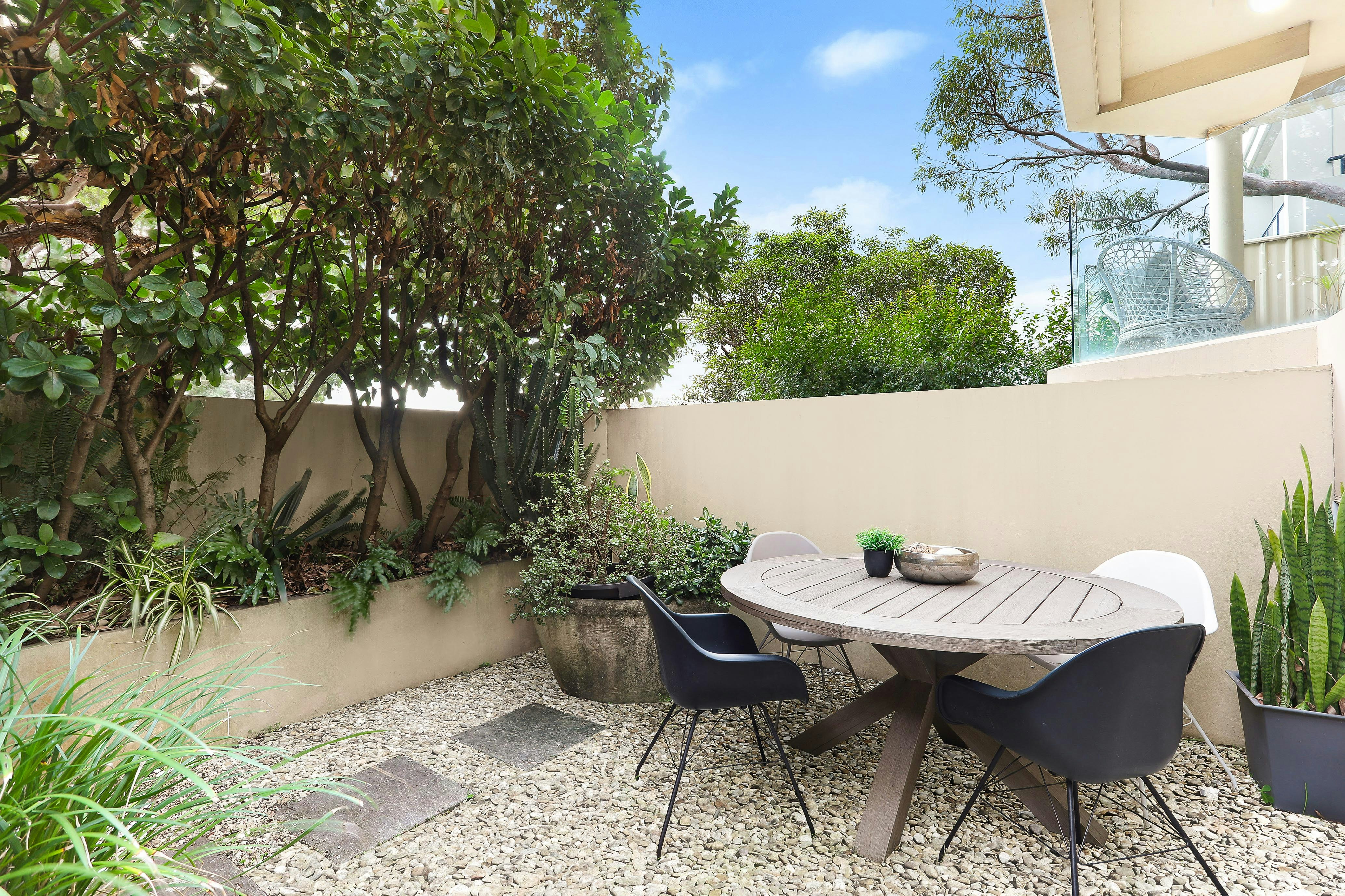 Image of backyard