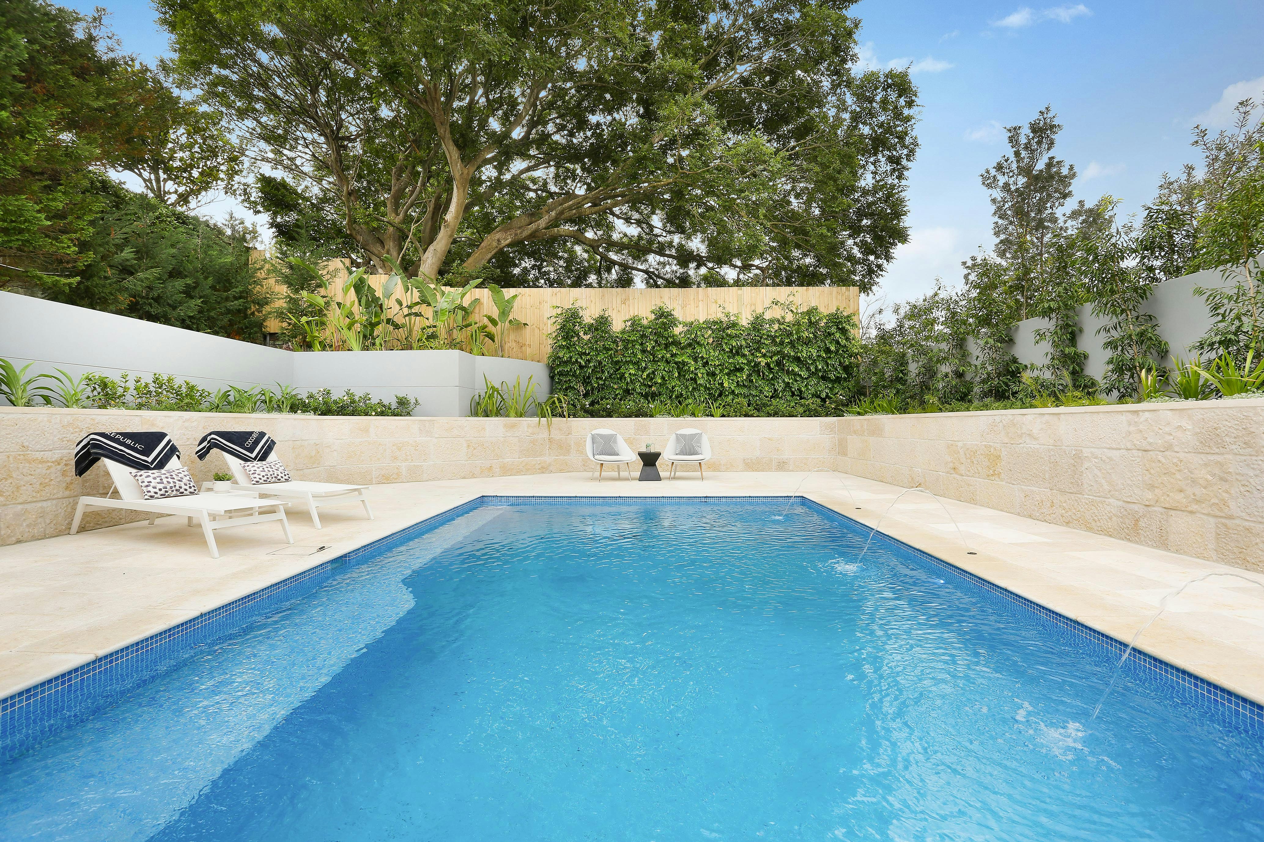 Image of backyard