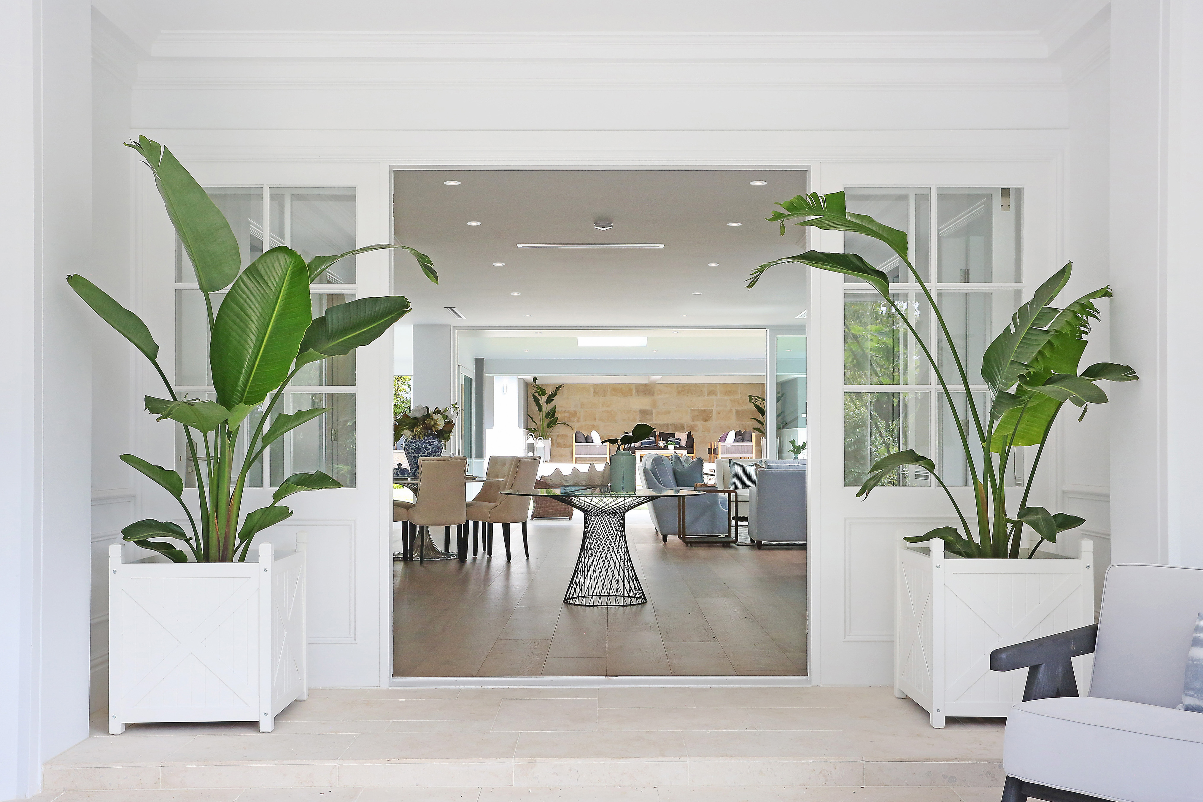 8 Rivers Street, Bellevue Hill - Thumbnail 6