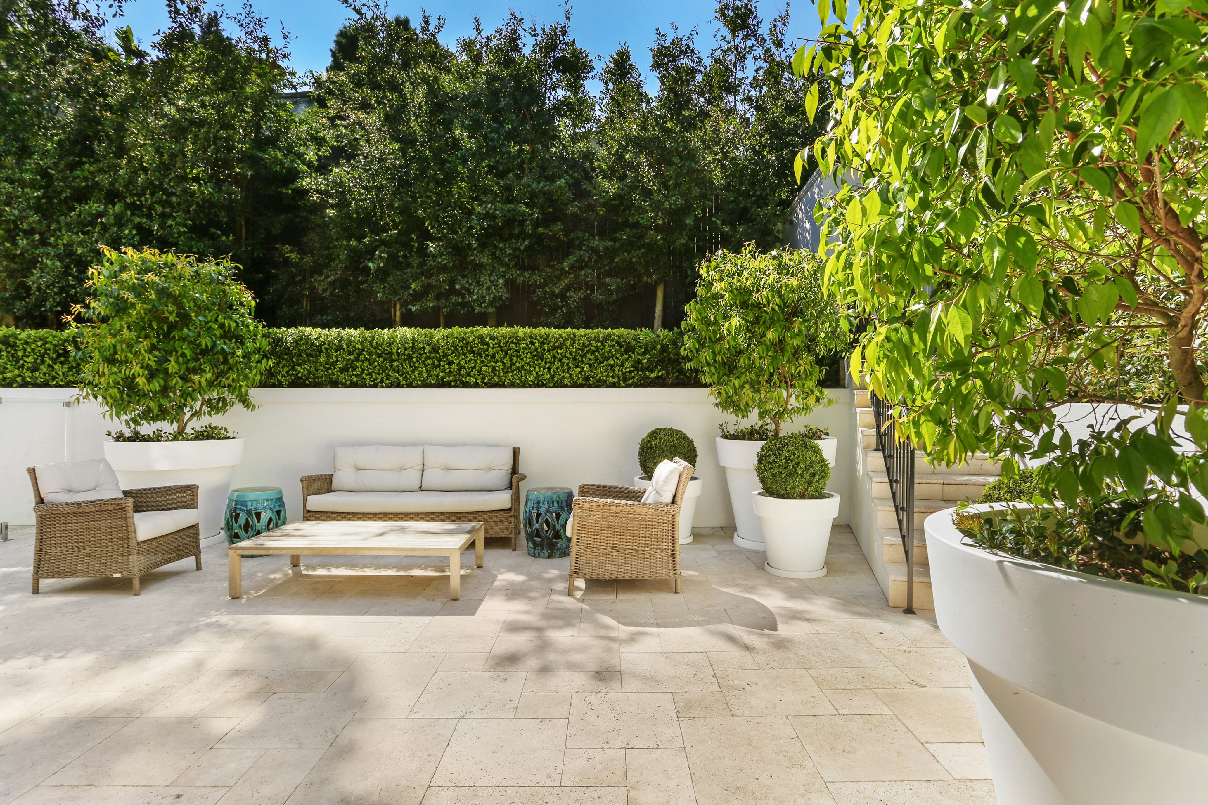 Image of backyard