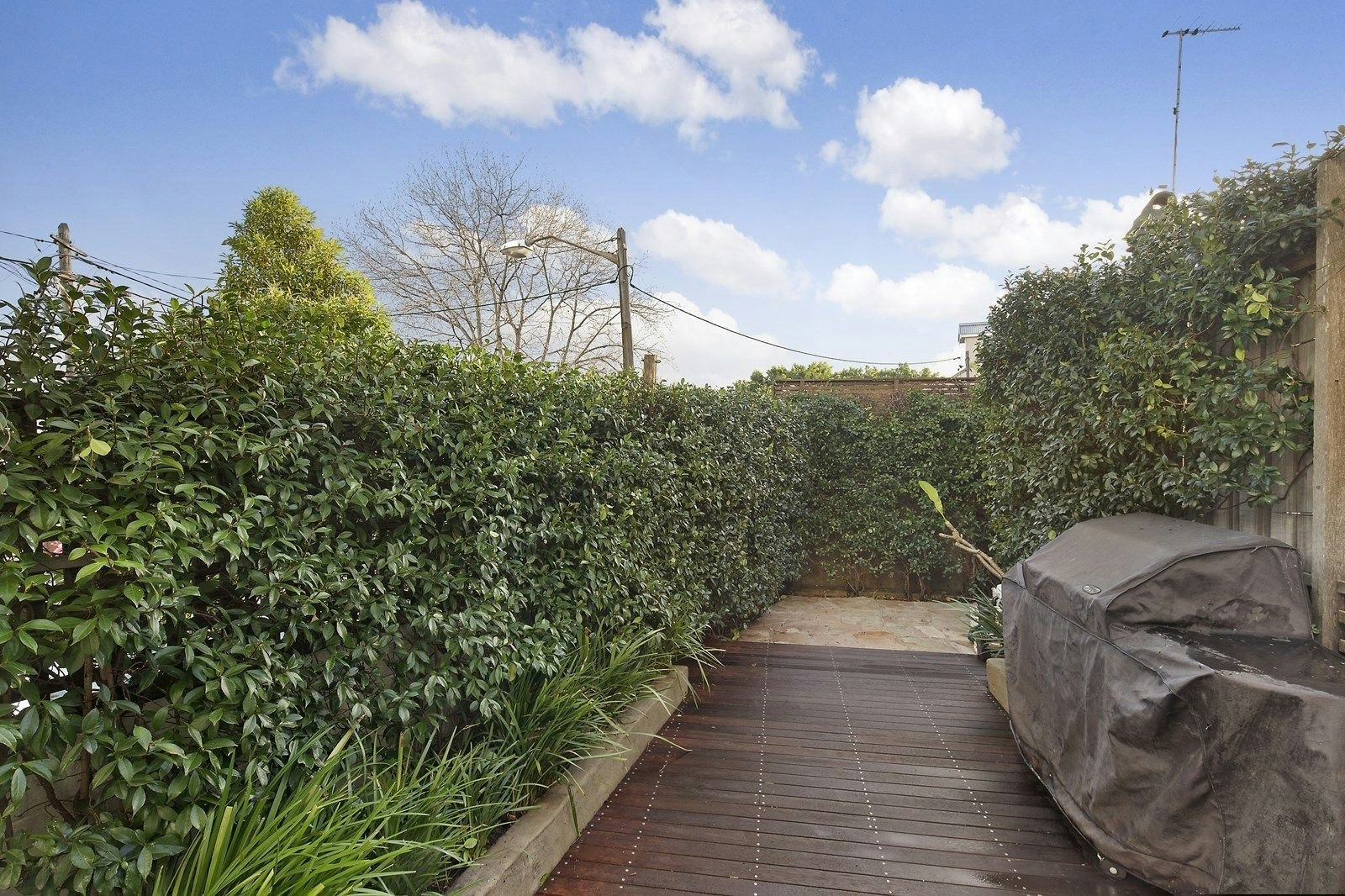 Image of garden