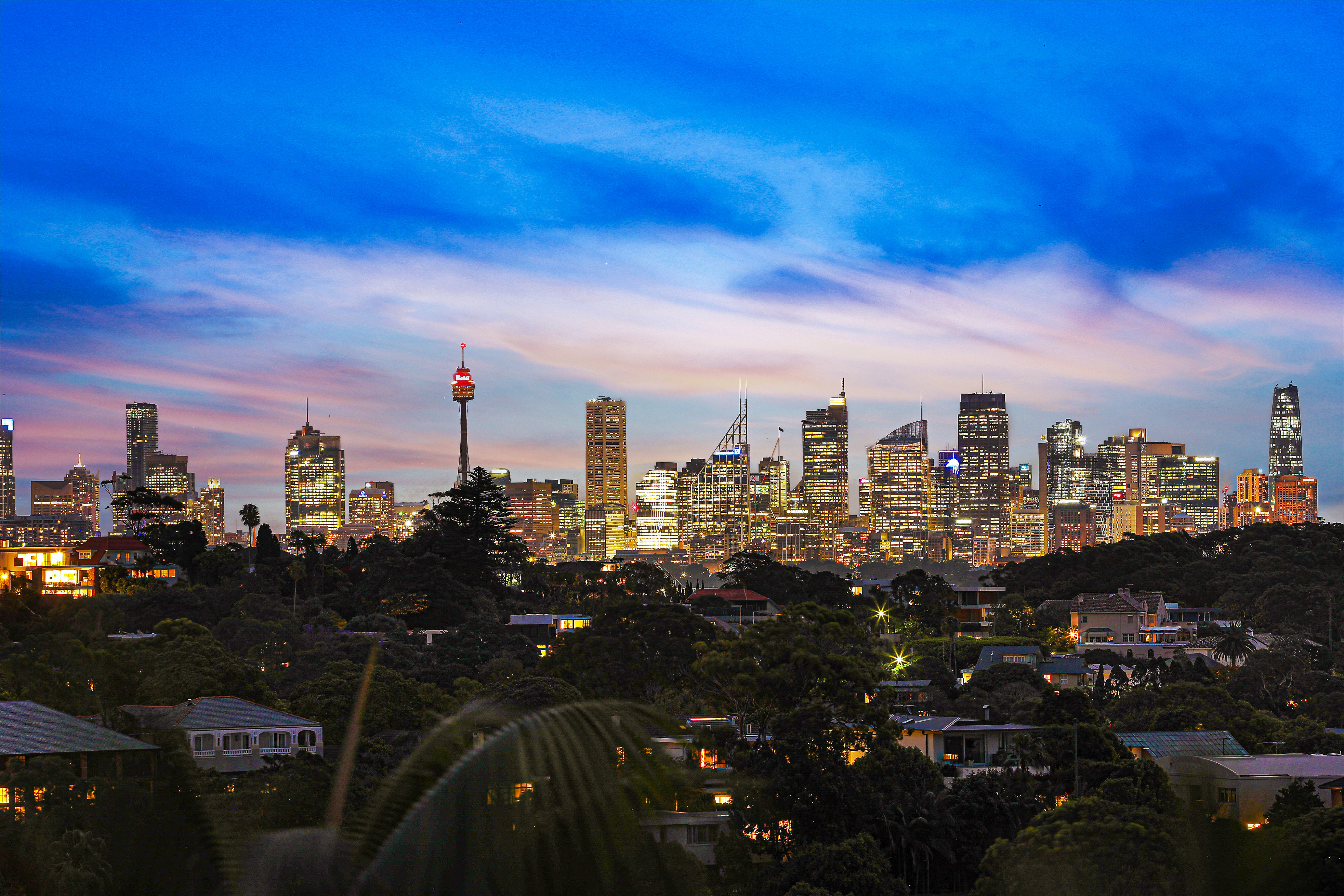 48 Village High Road, Vaucluse - Thumbnail 6