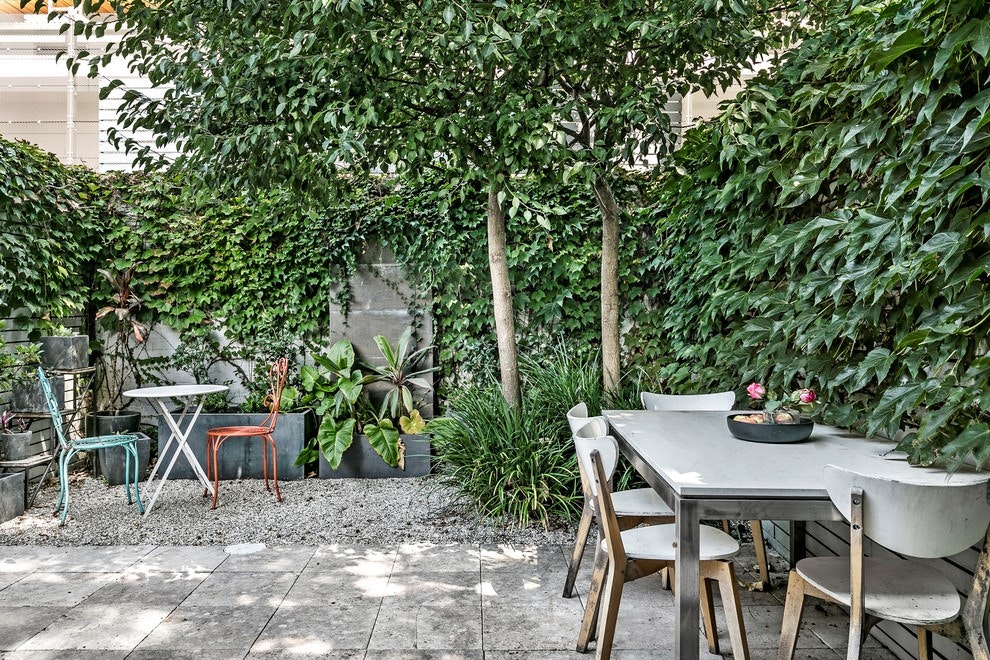 Image of backyard