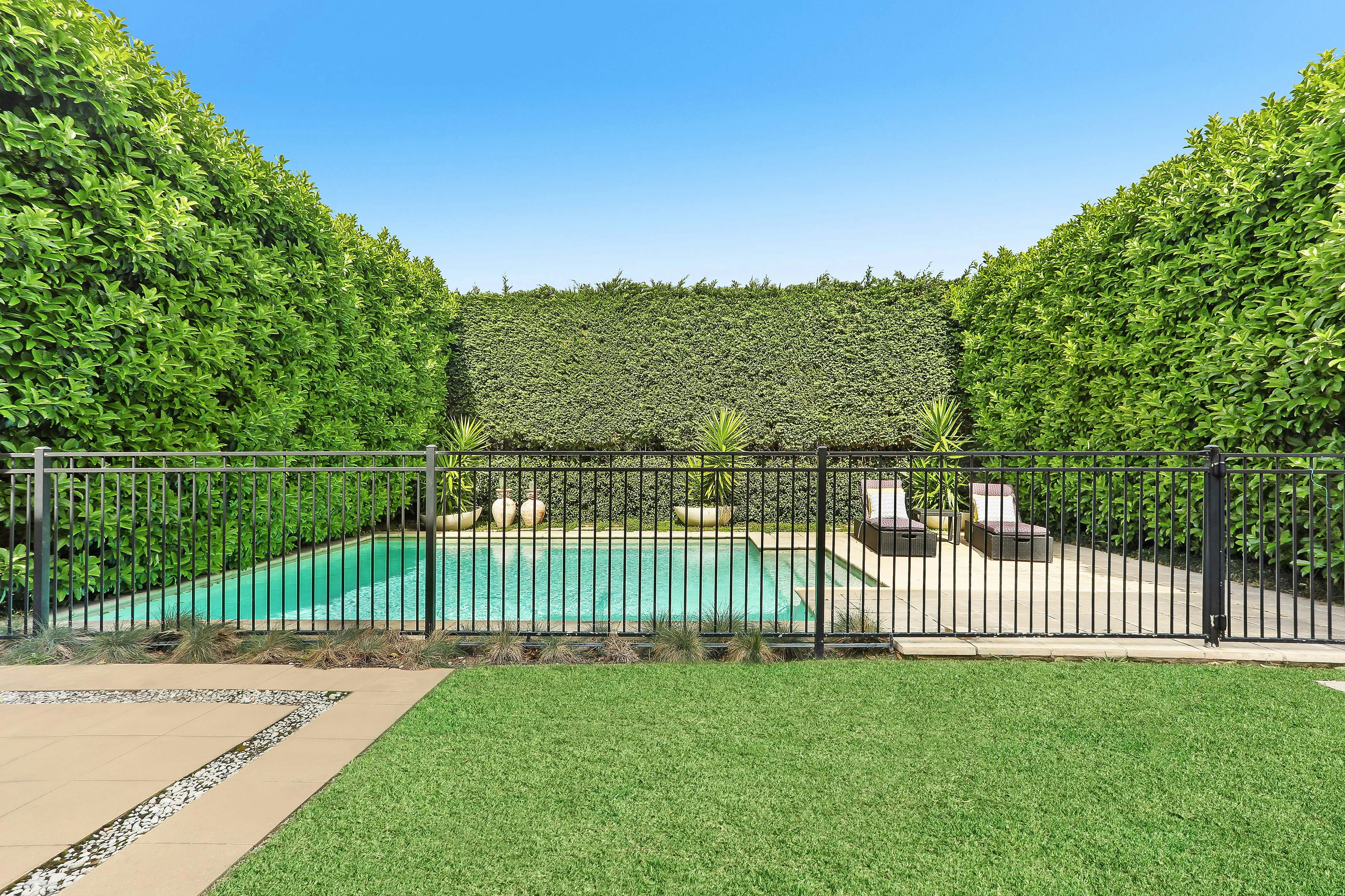 Image of backyard