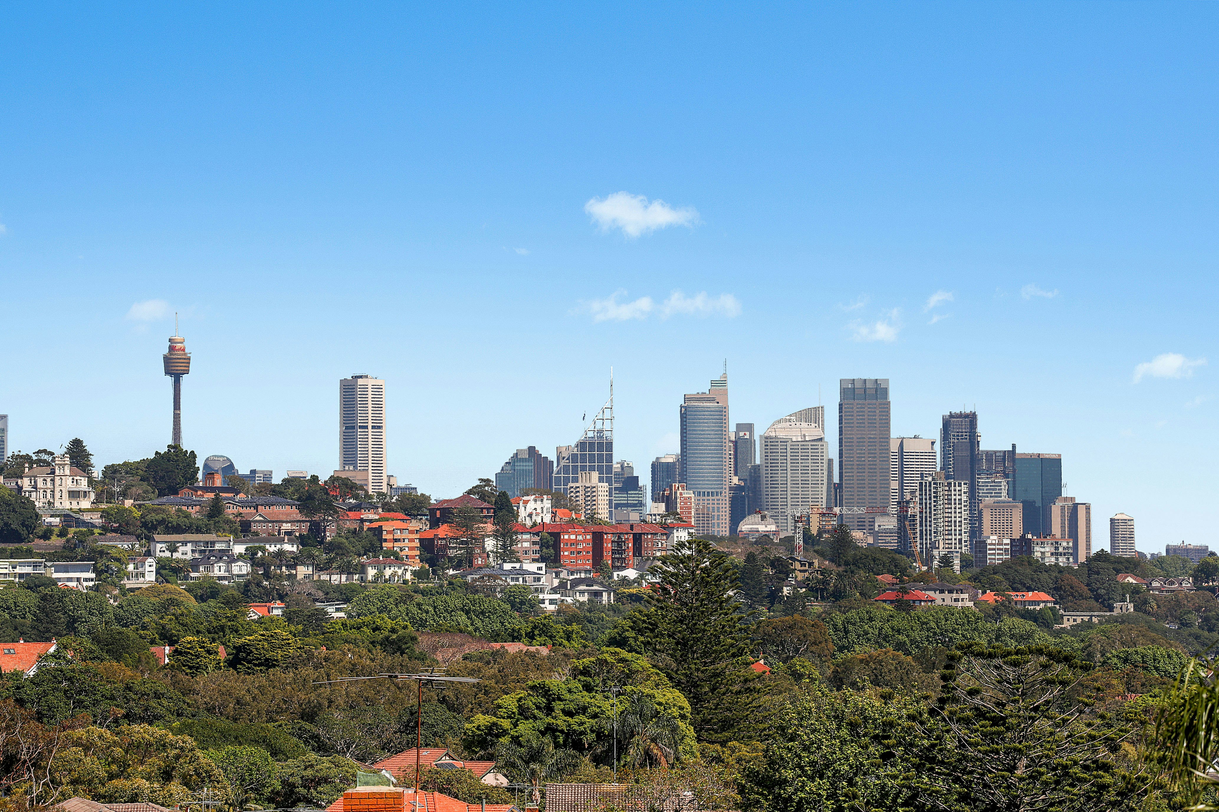 45 Liverpool Street, Rose Bay NSW