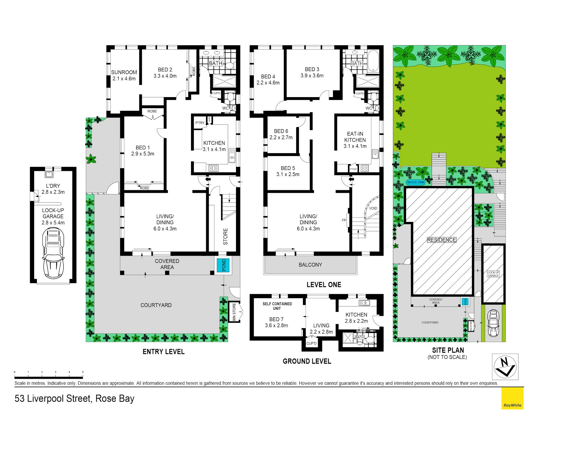 53 Liverpool Street, Rose Bay NSW