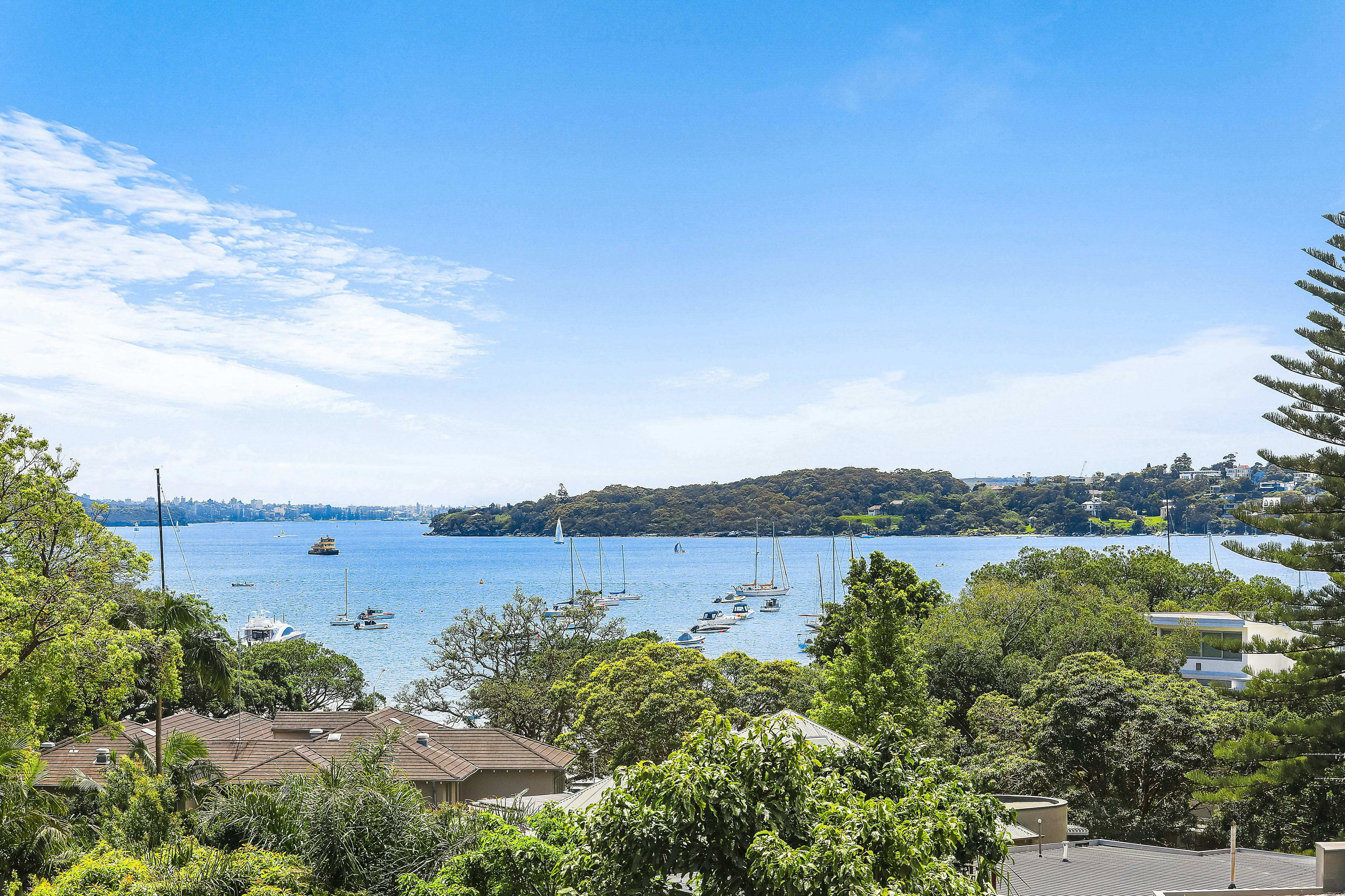 14 Cranbrook Road, Bellevue Hill NSW
