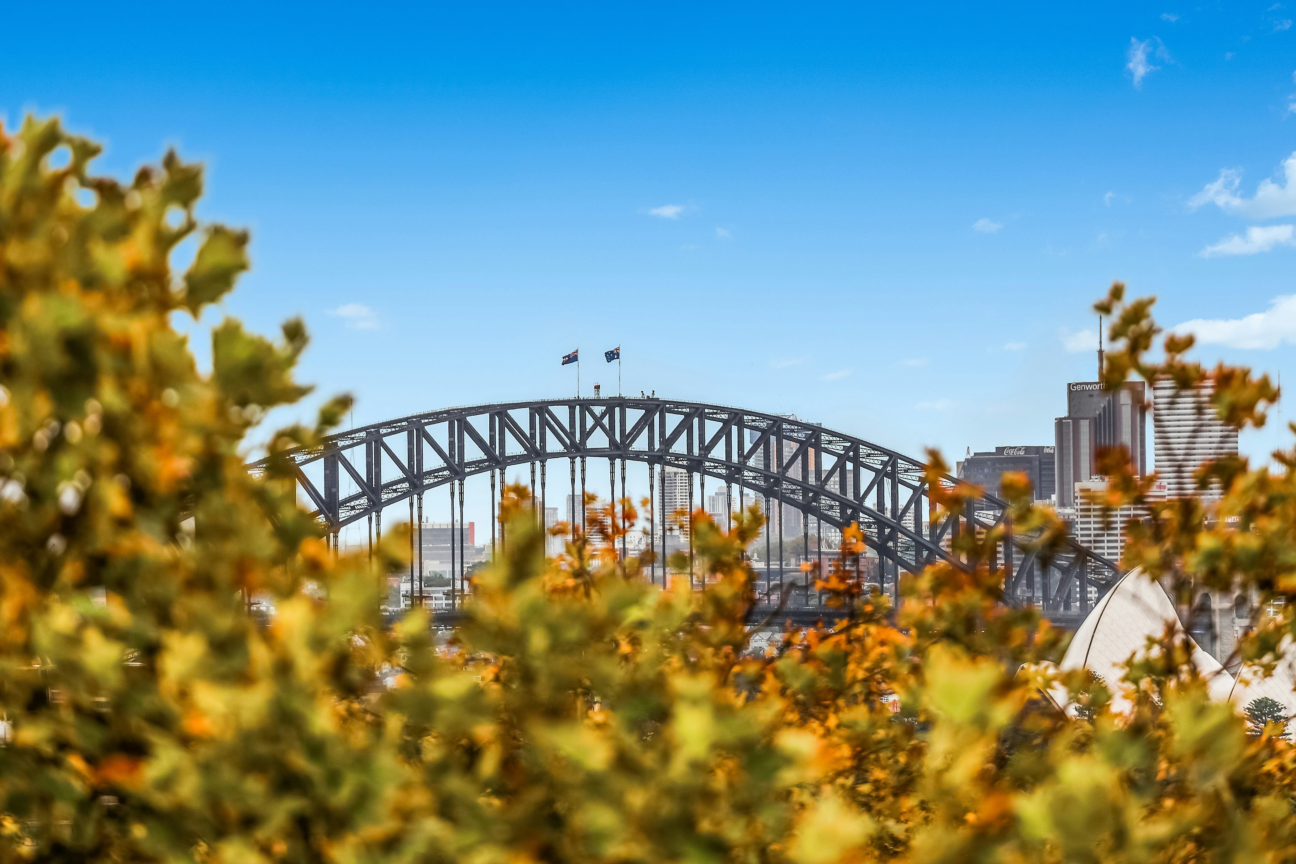 Image of arch