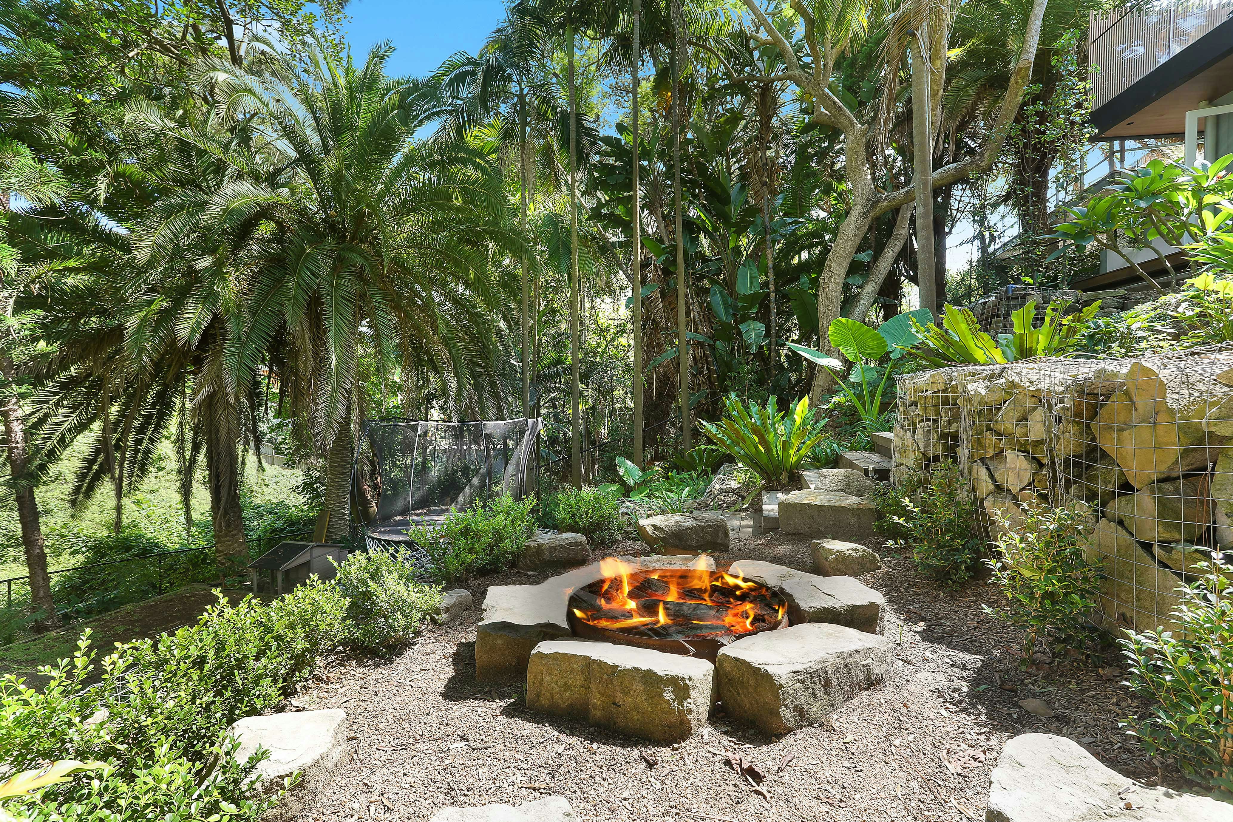 Image of backyard