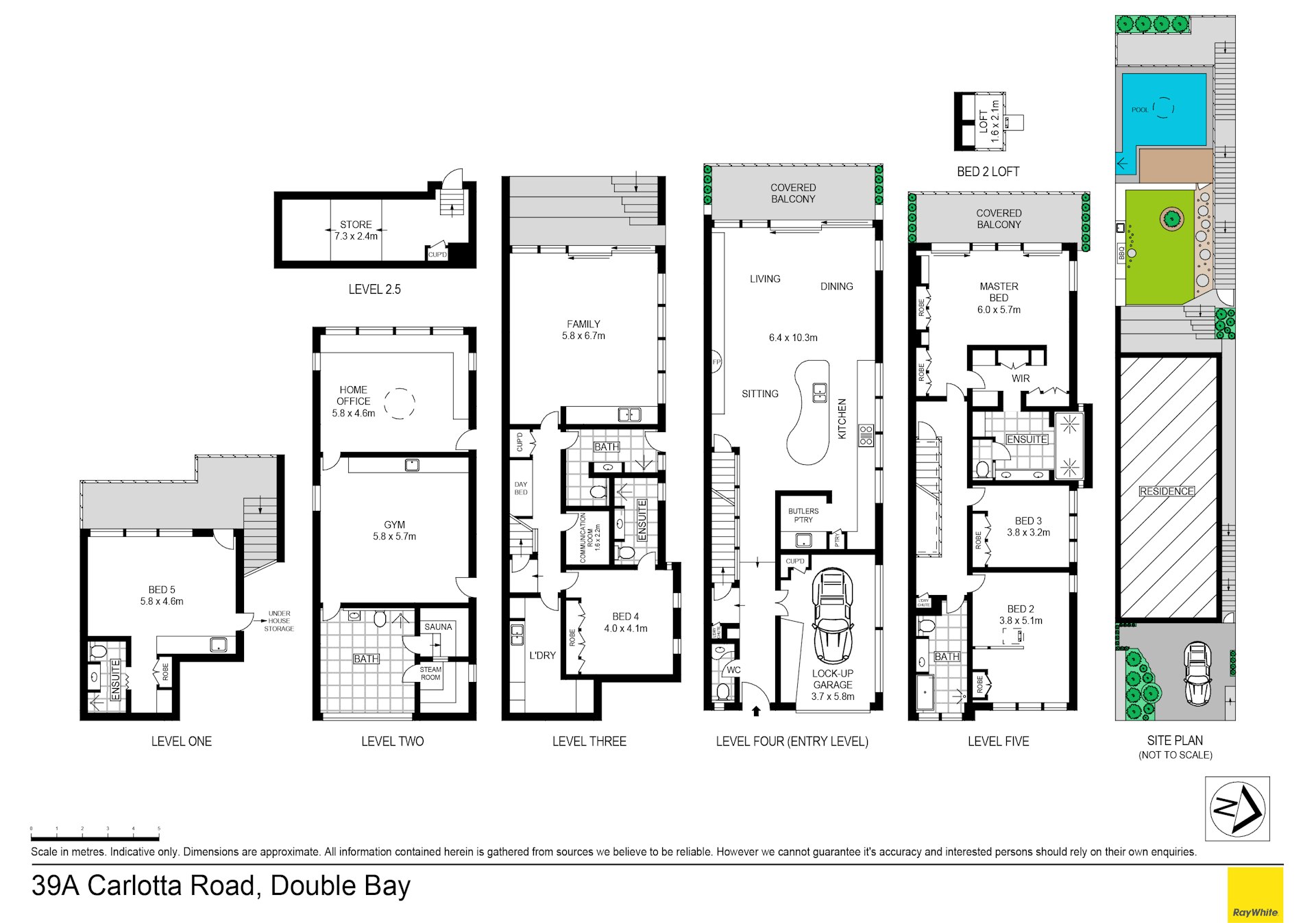 39A Carlotta Road, Double Bay NSW