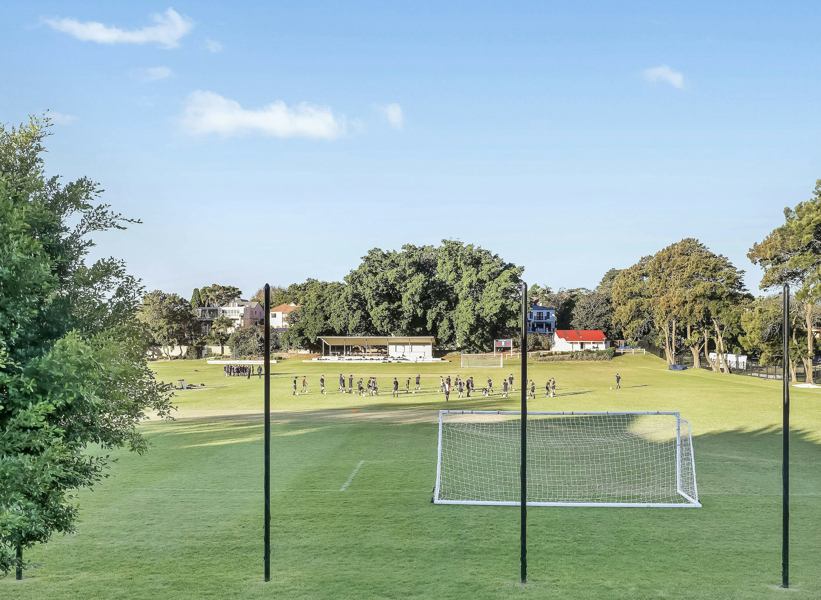 Image of field