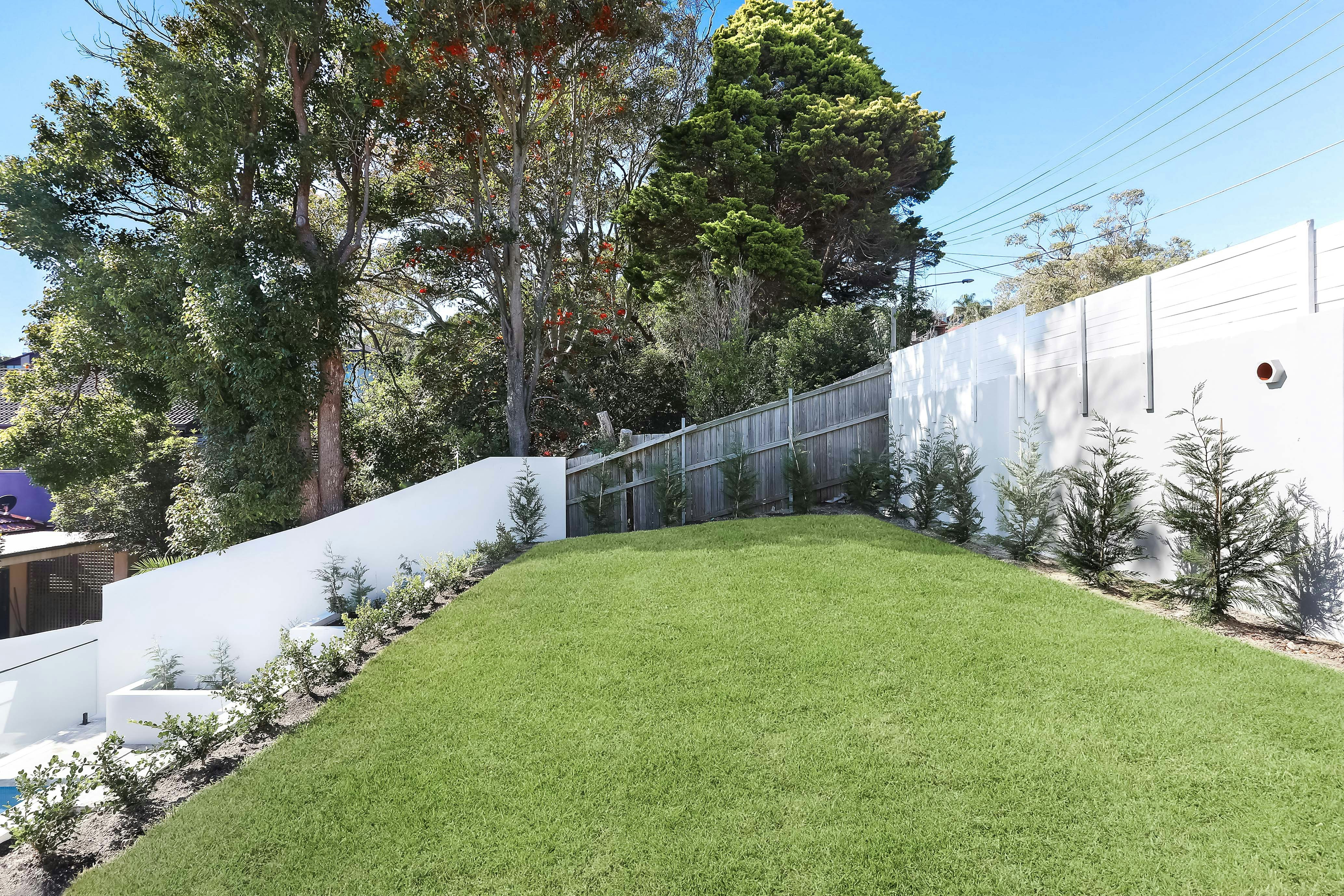 Image of backyard