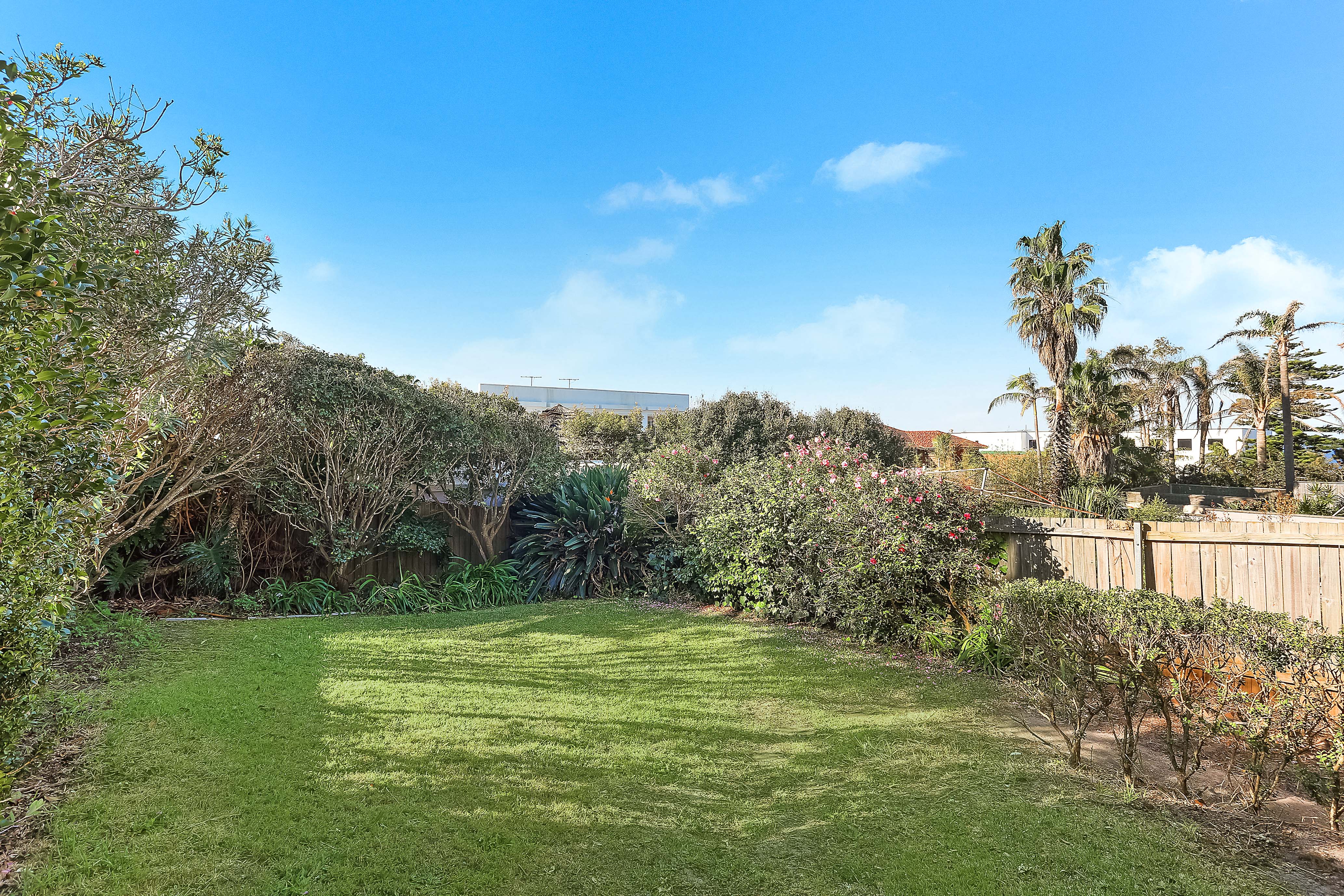 16 Myuna Road, Dover Heights - Thumbnail 7