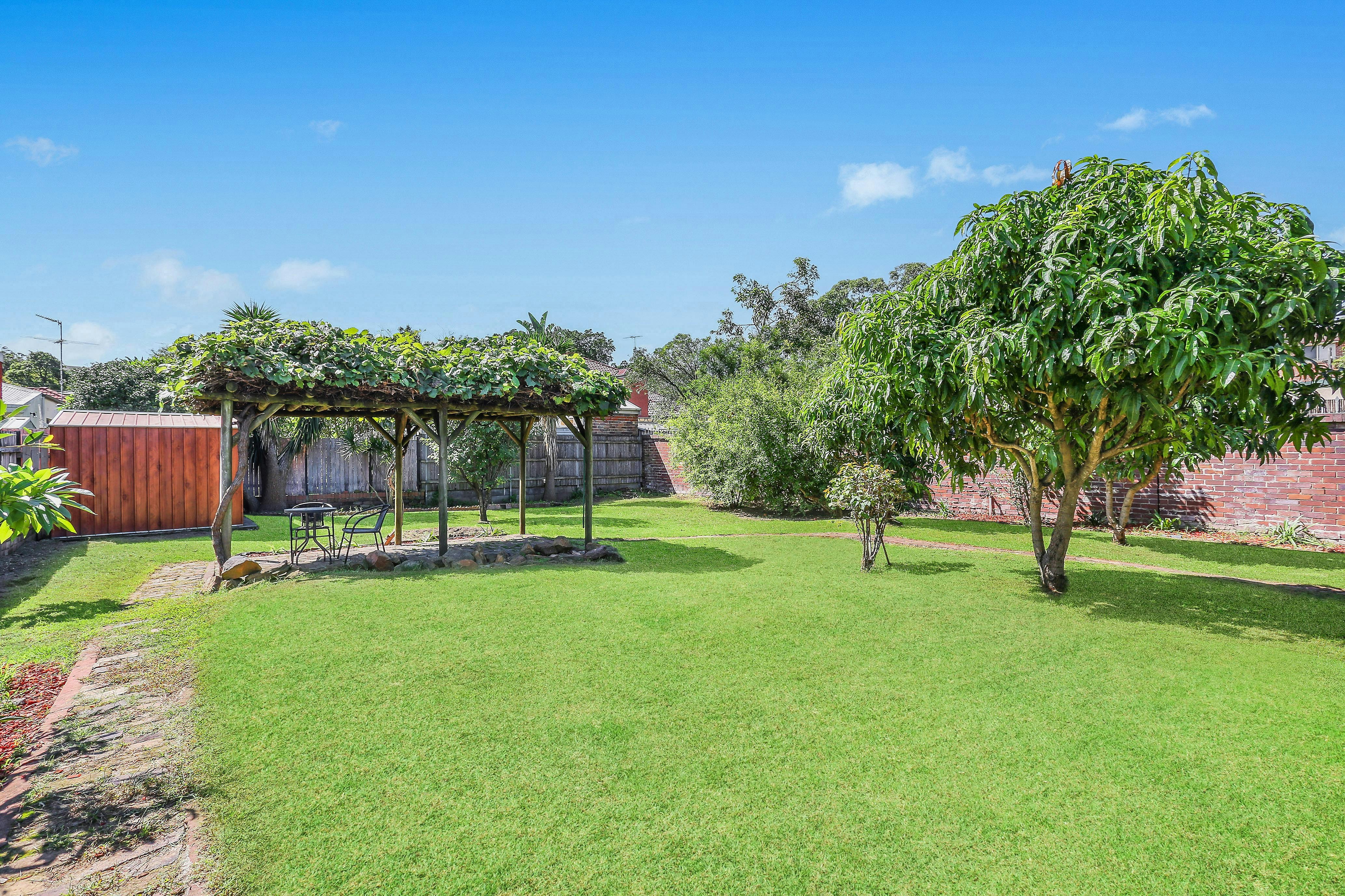 Image of backyard