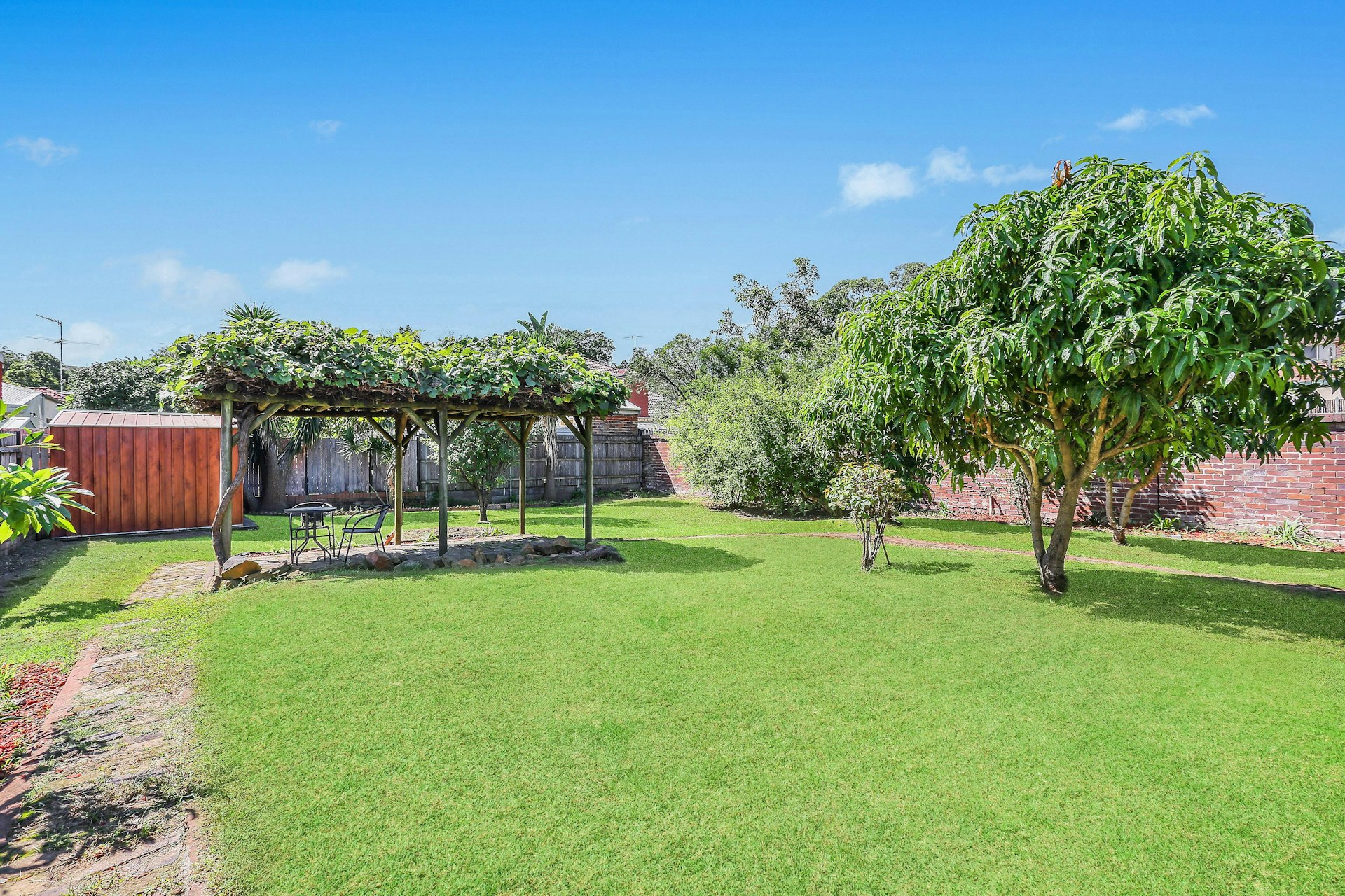backyard