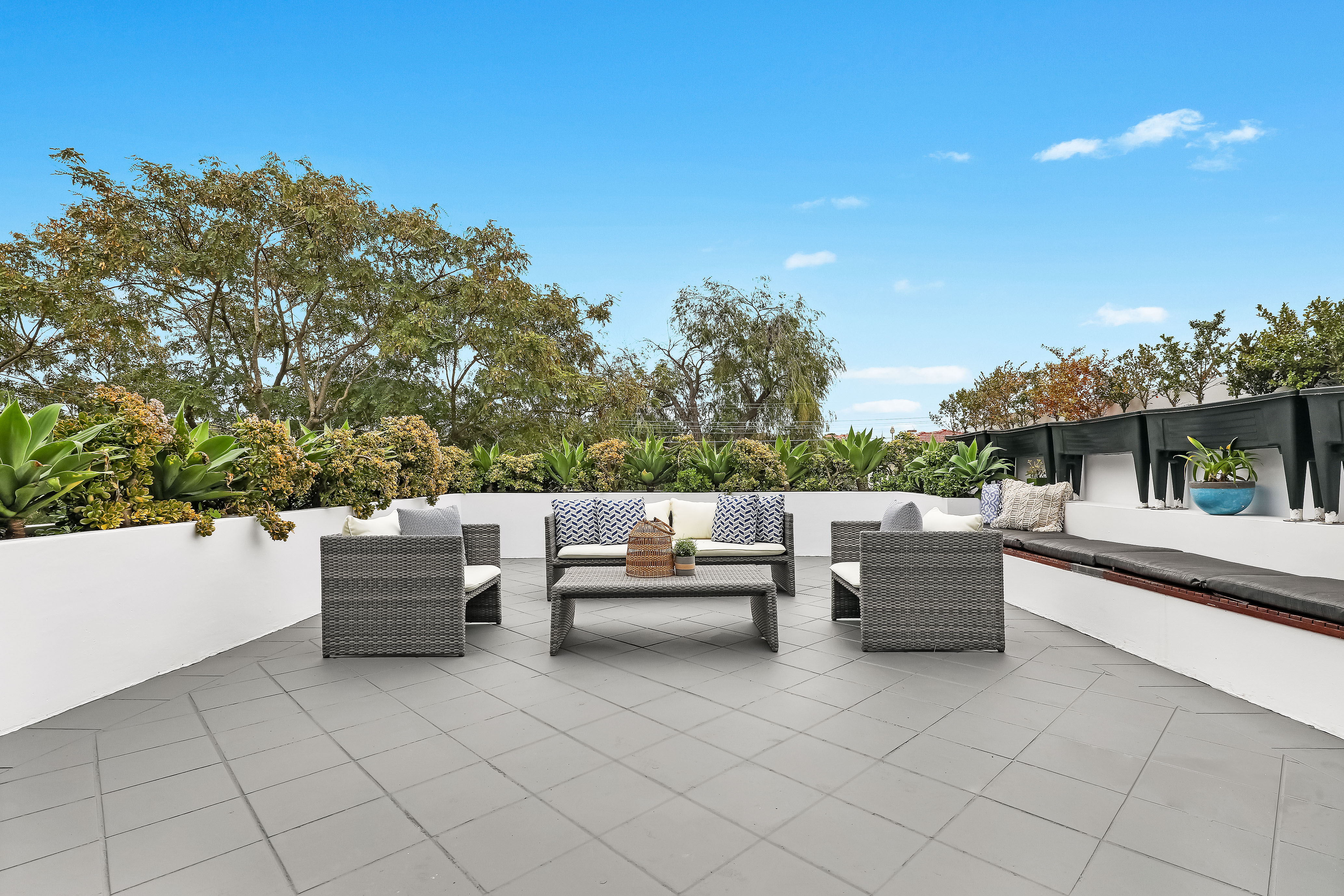 8 Suttie Road, Bellevue Hill - Thumbnail 8