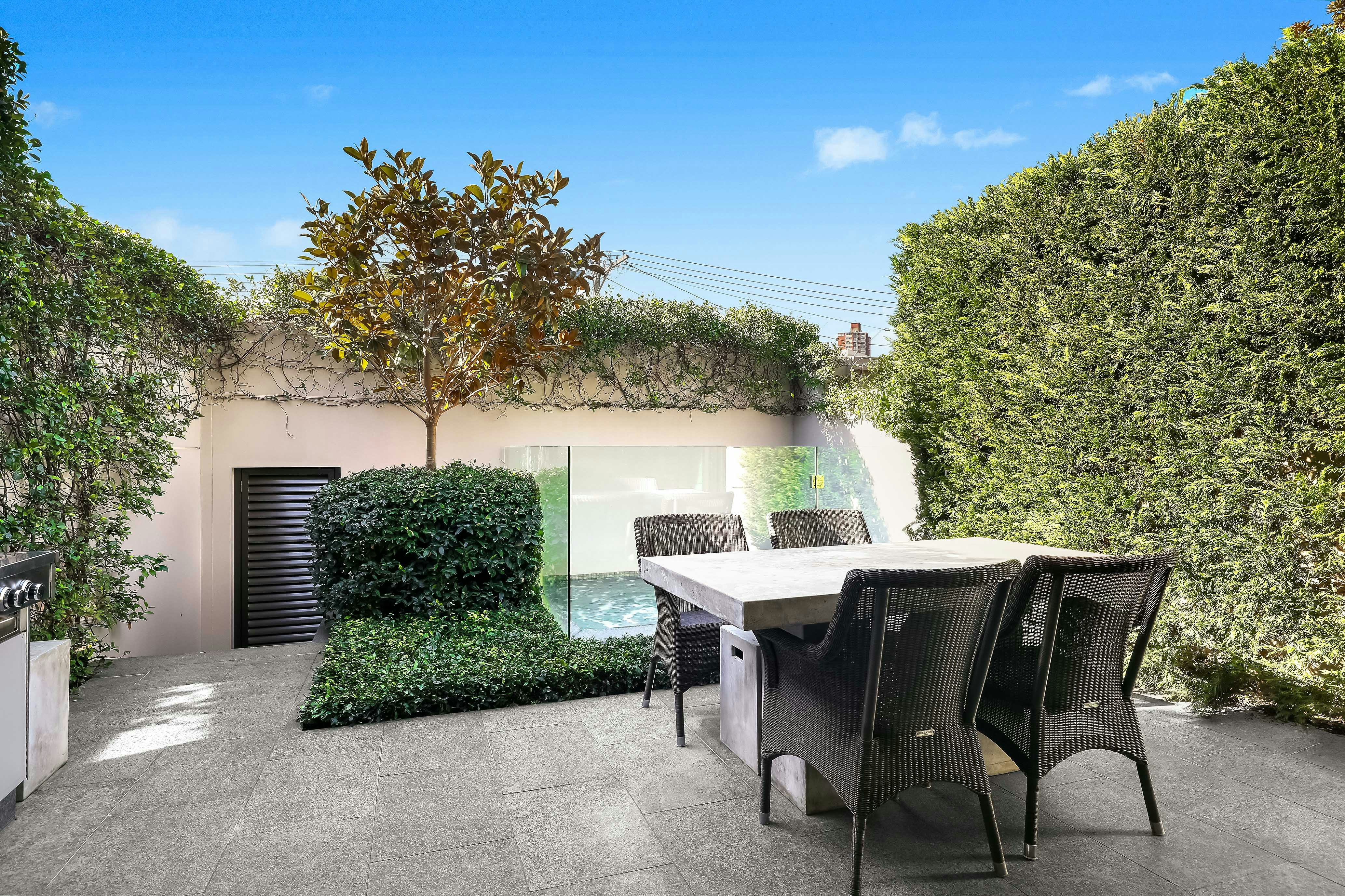 Image of backyard