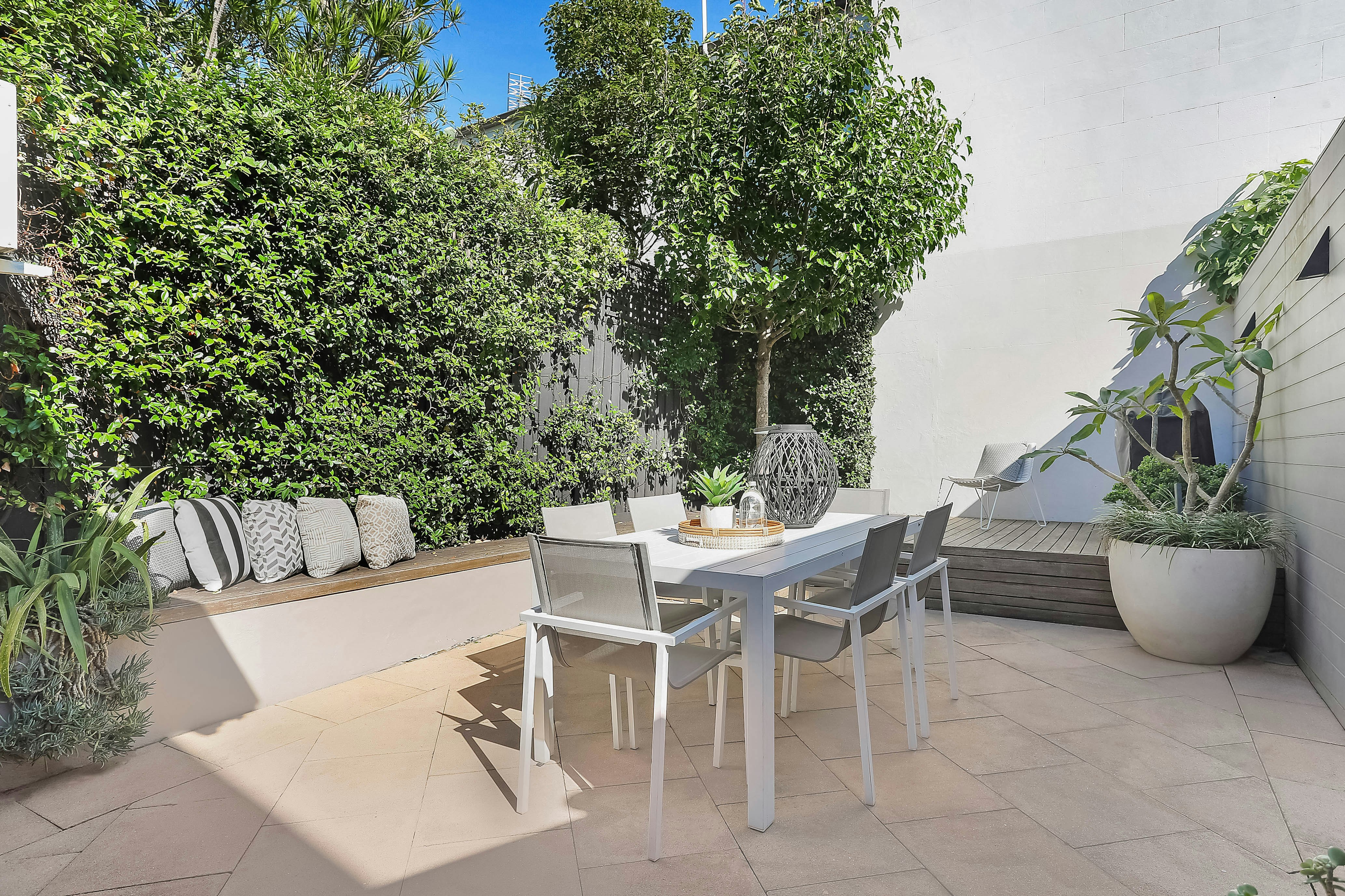 Image of backyard