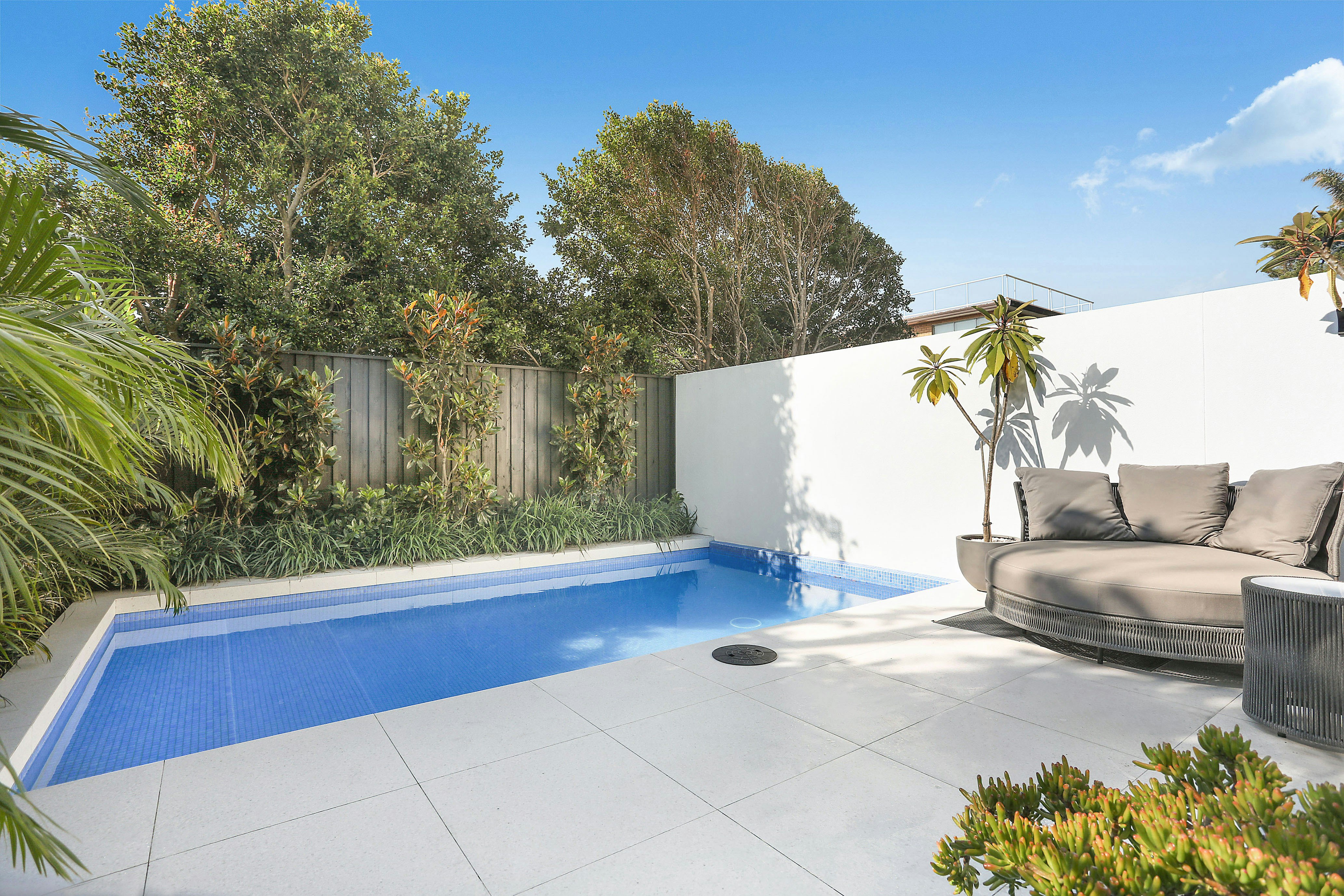 Image of backyard