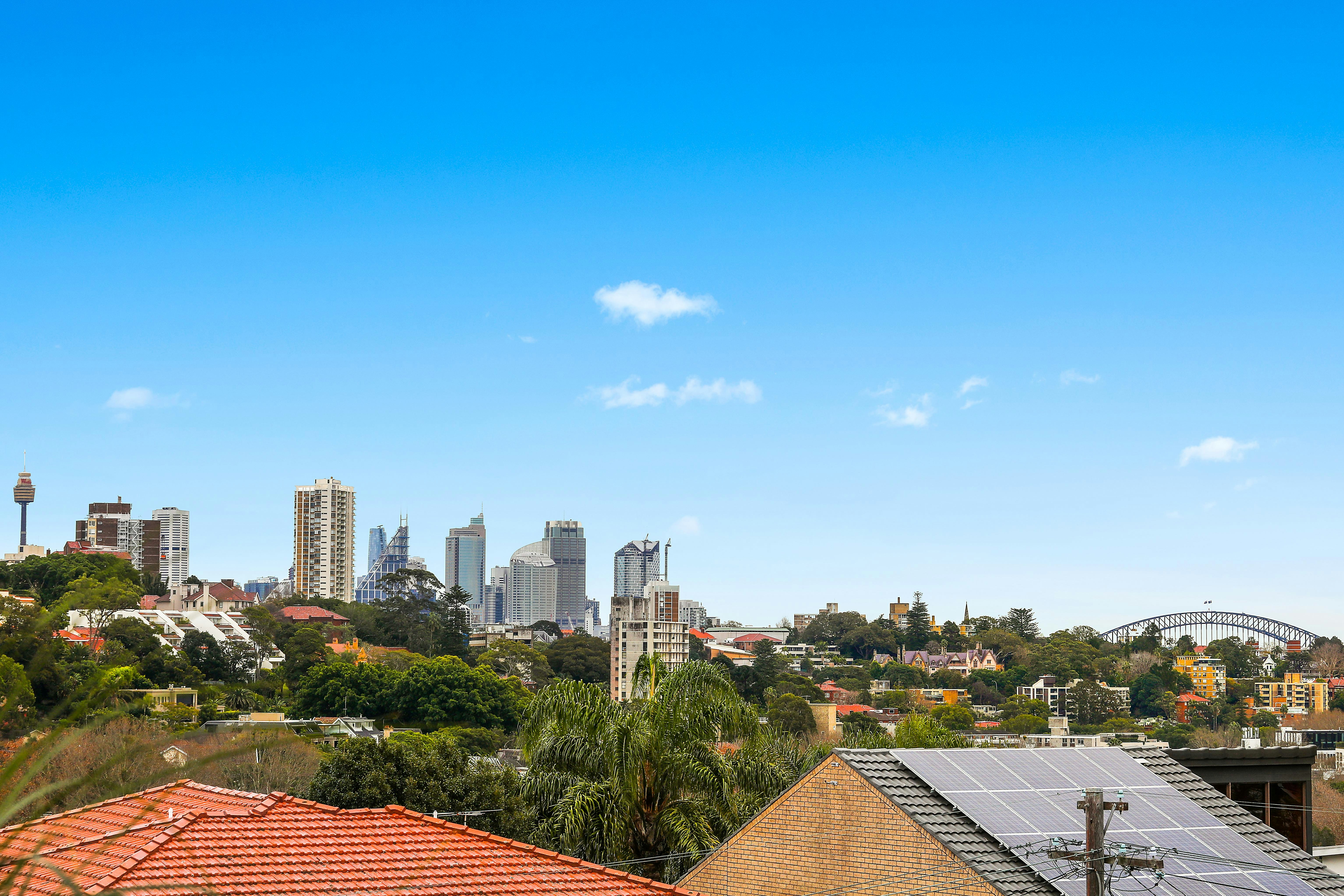 8 Suttie Road, Bellevue Hill NSW