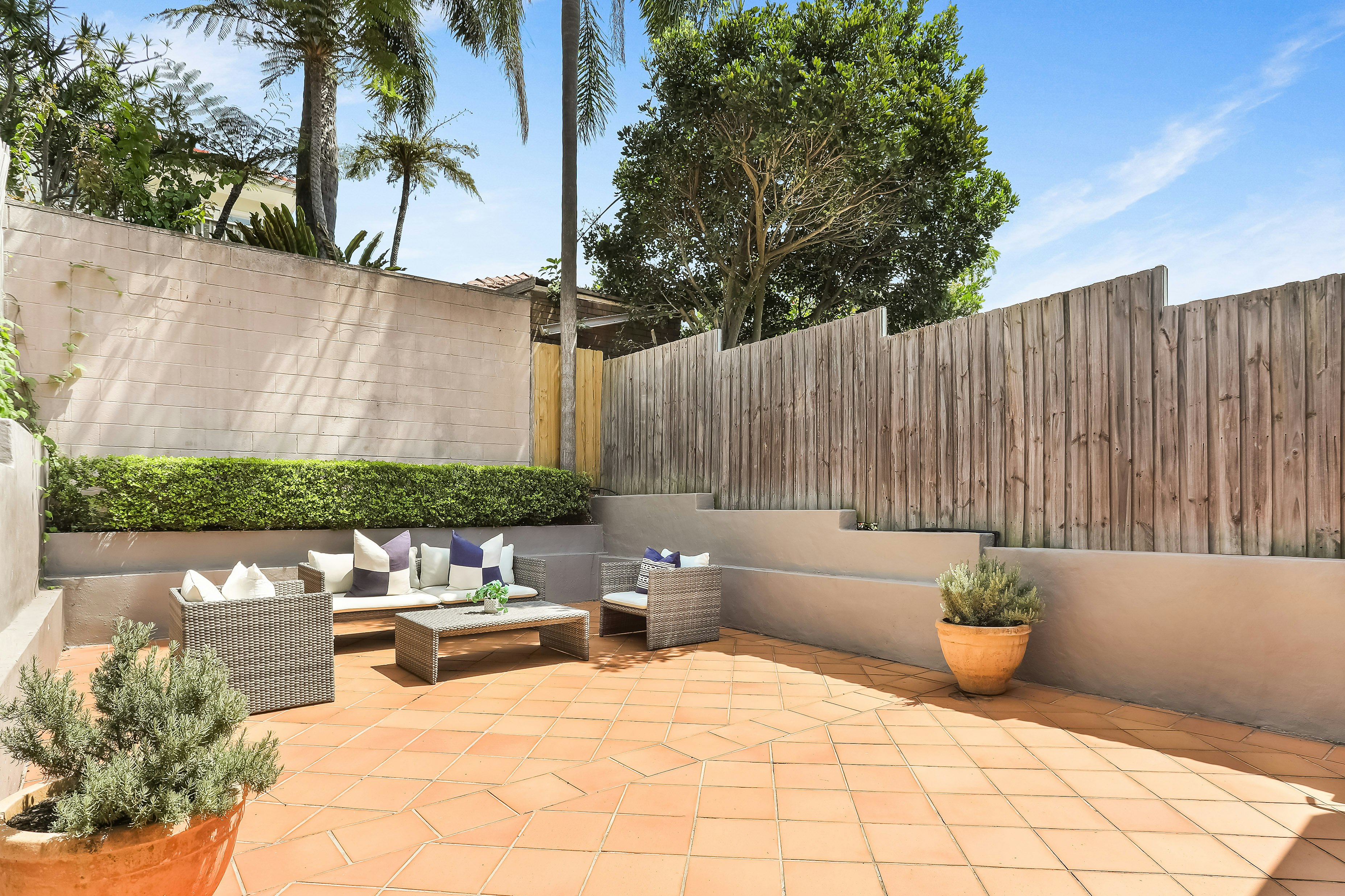 Image of backyard