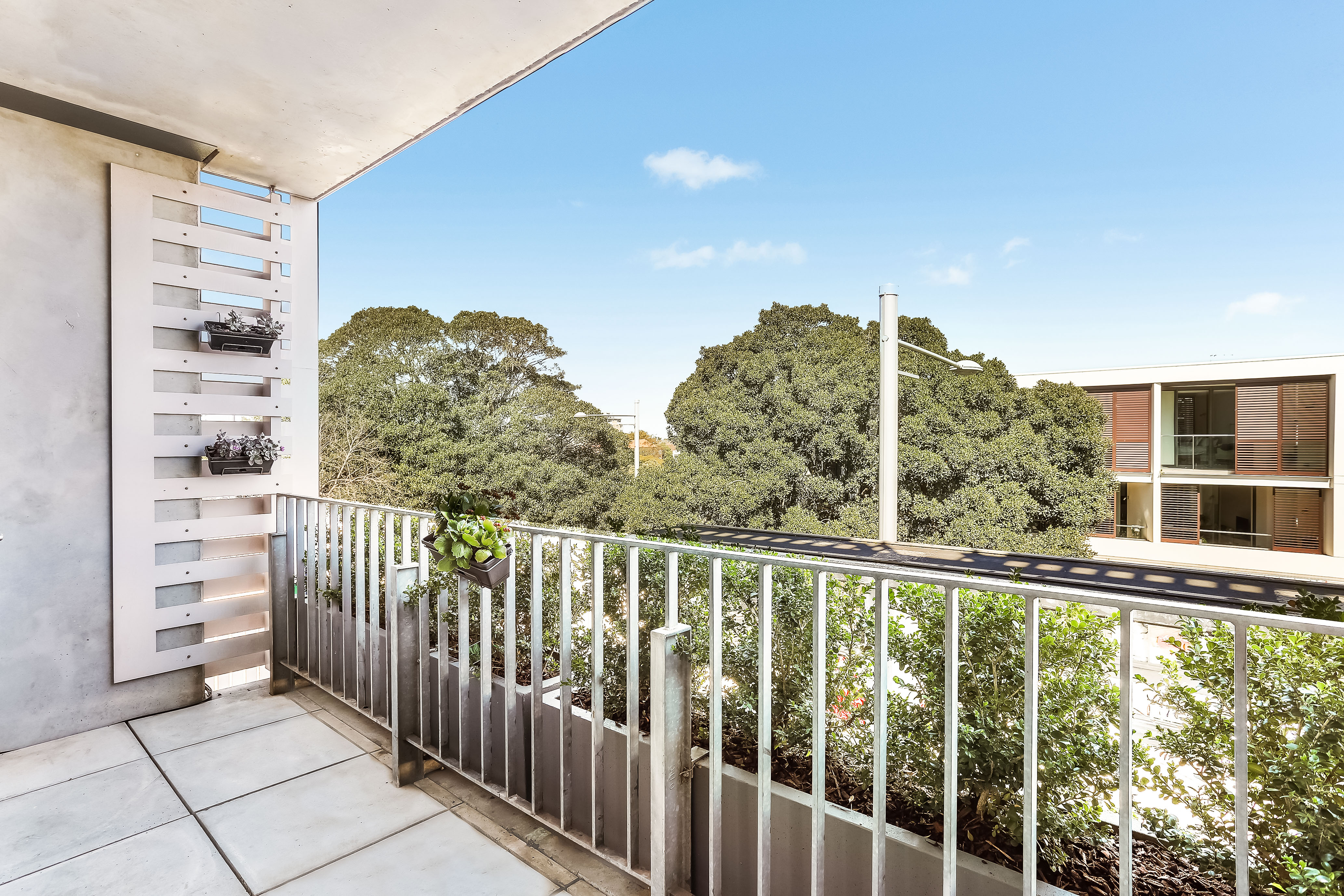 4/23 Bellevue Road, Bellevue Hill - Thumbnail 5