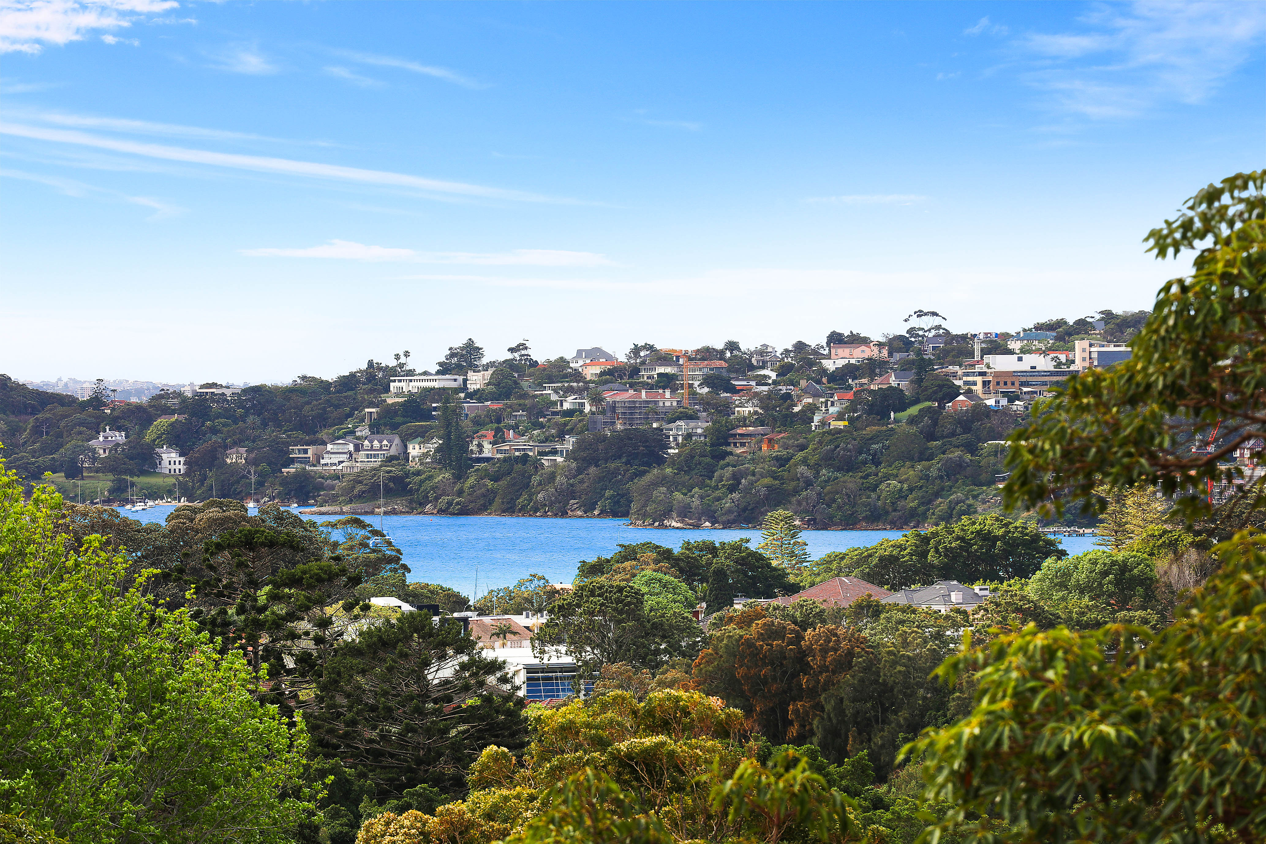 24 Bunyula Road, Bellevue Hill - Thumbnail 5