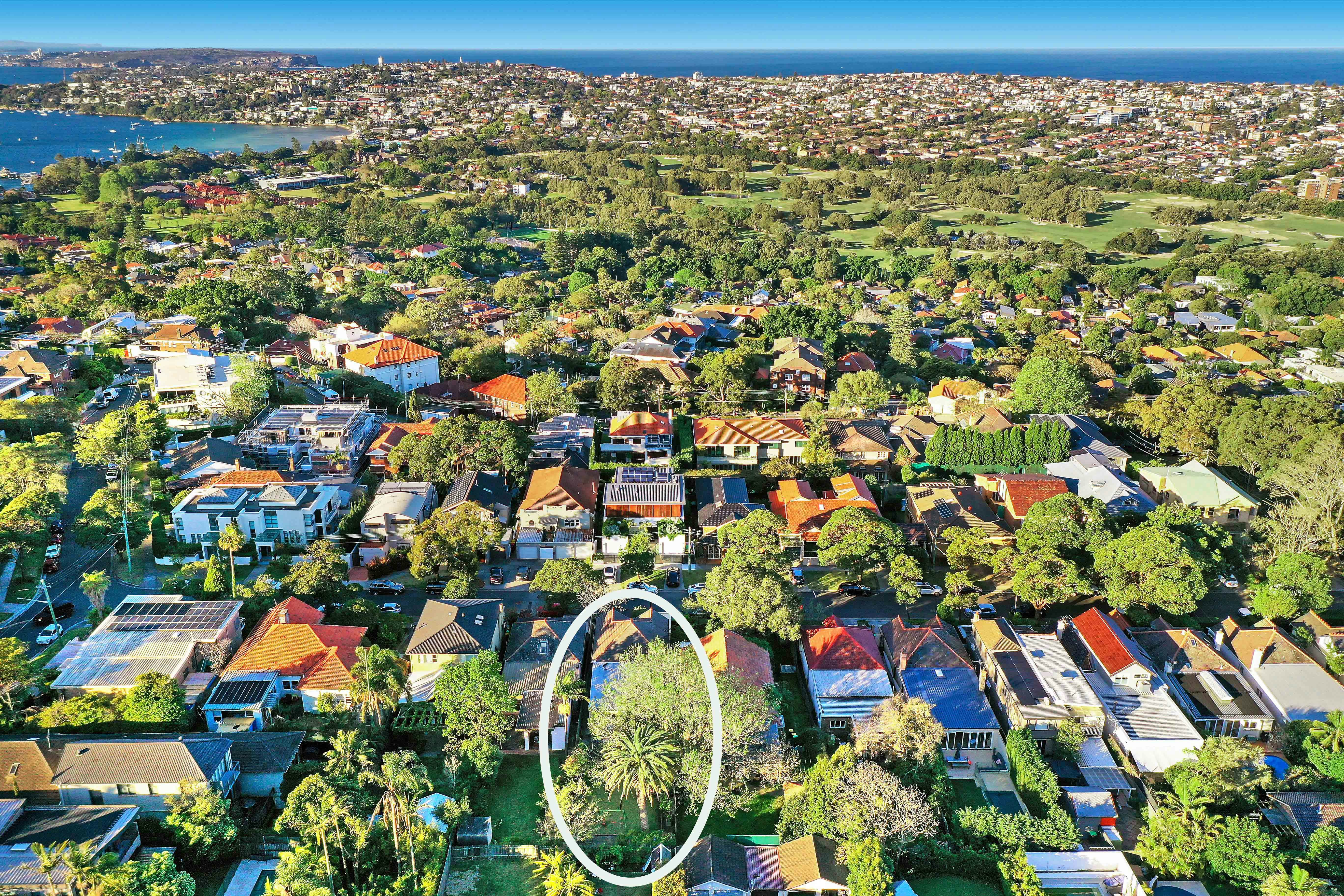 Image of neighborhood