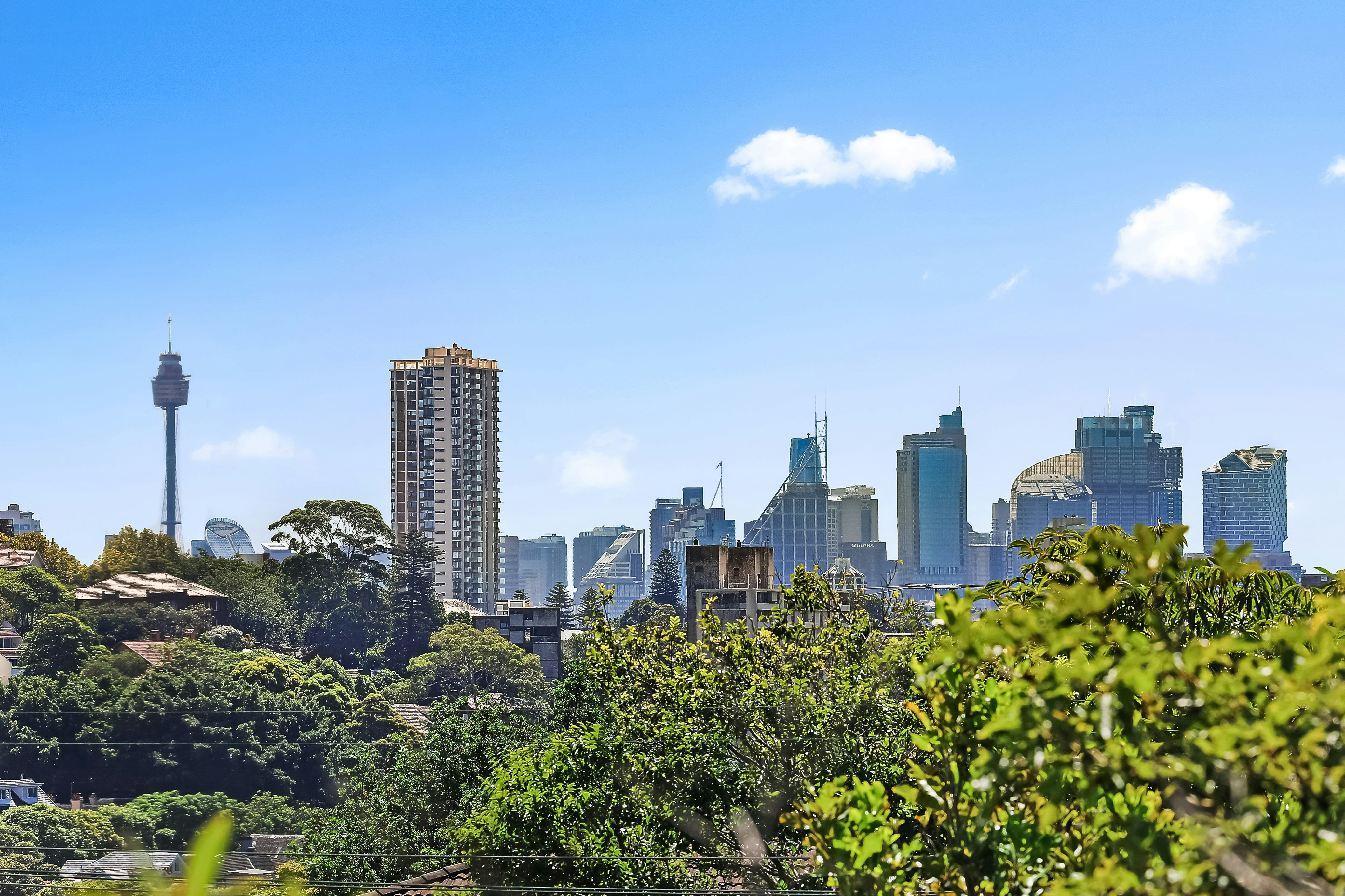 23 Arthur Street, Bellevue Hill NSW