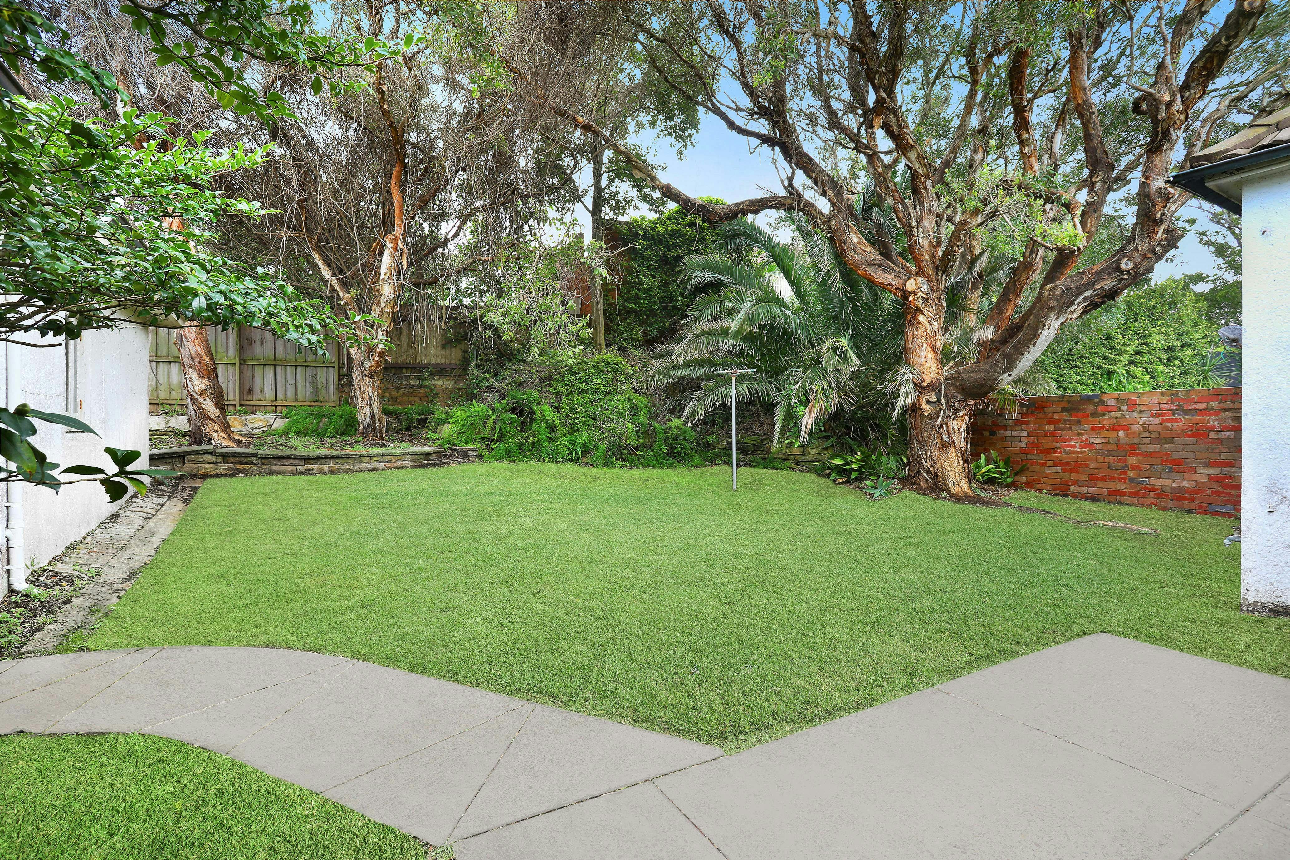Image of backyard