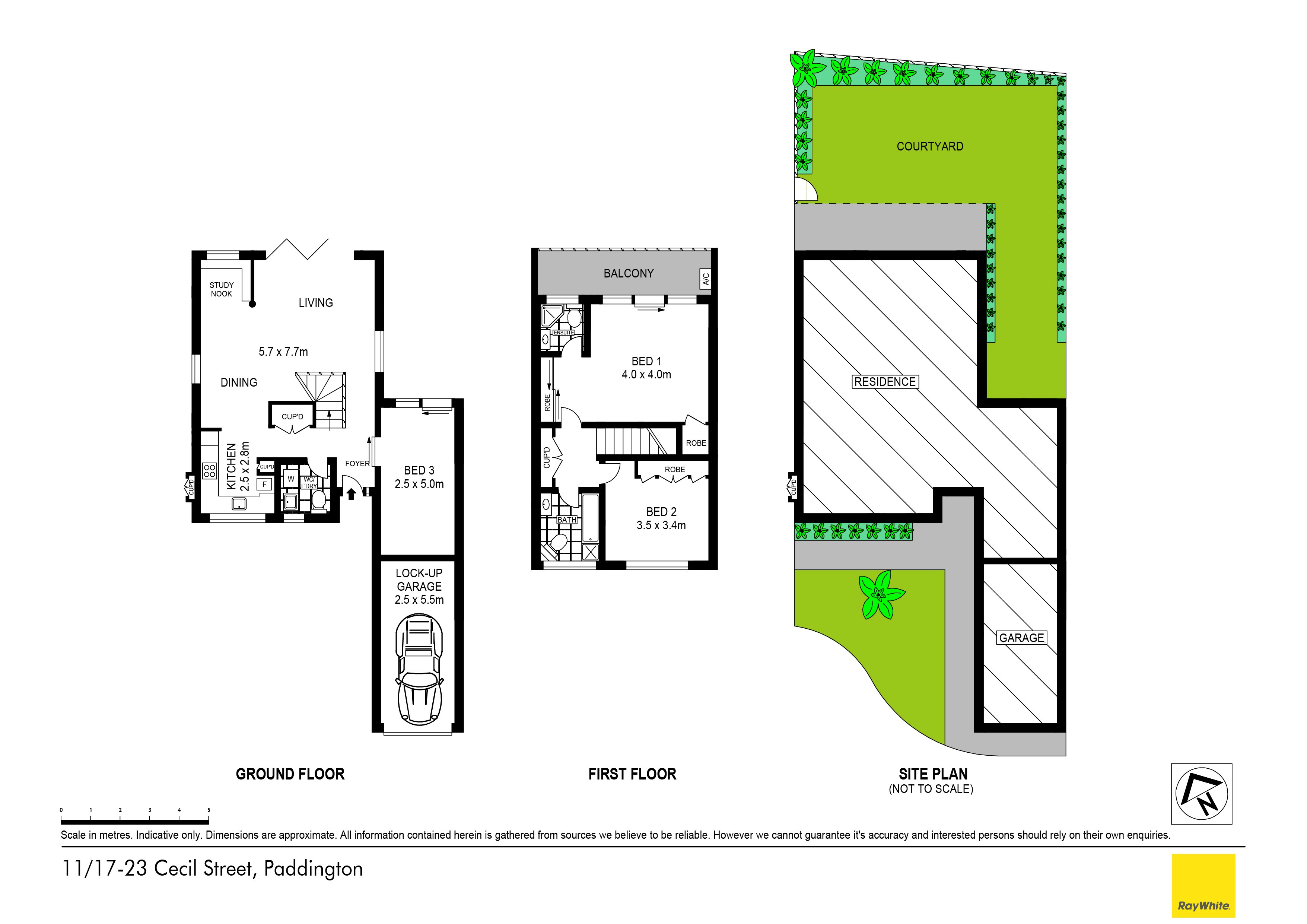 11/17-23 Cecil Street, Paddington NSW