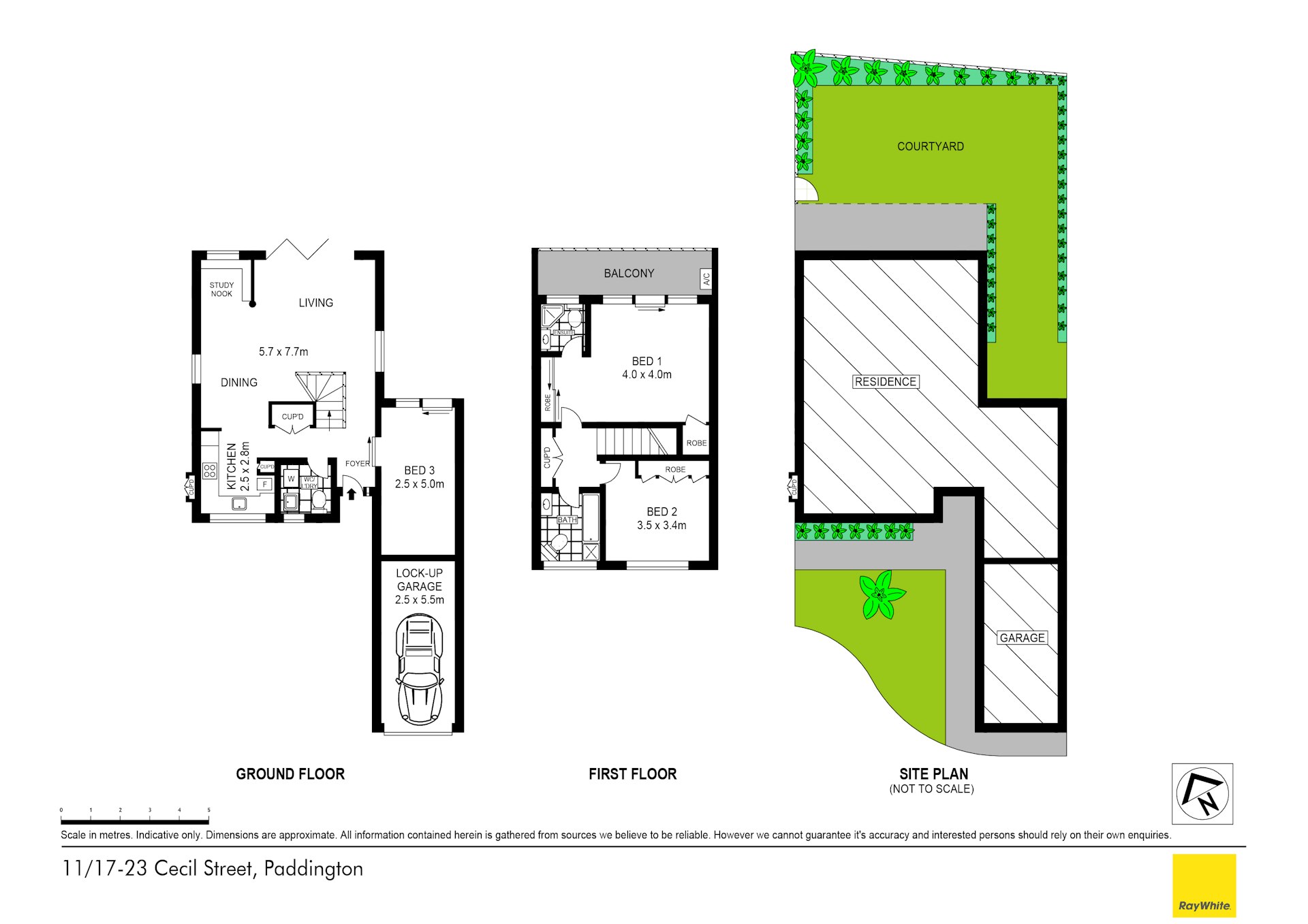 11/17-23 Cecil Street, Paddington NSW