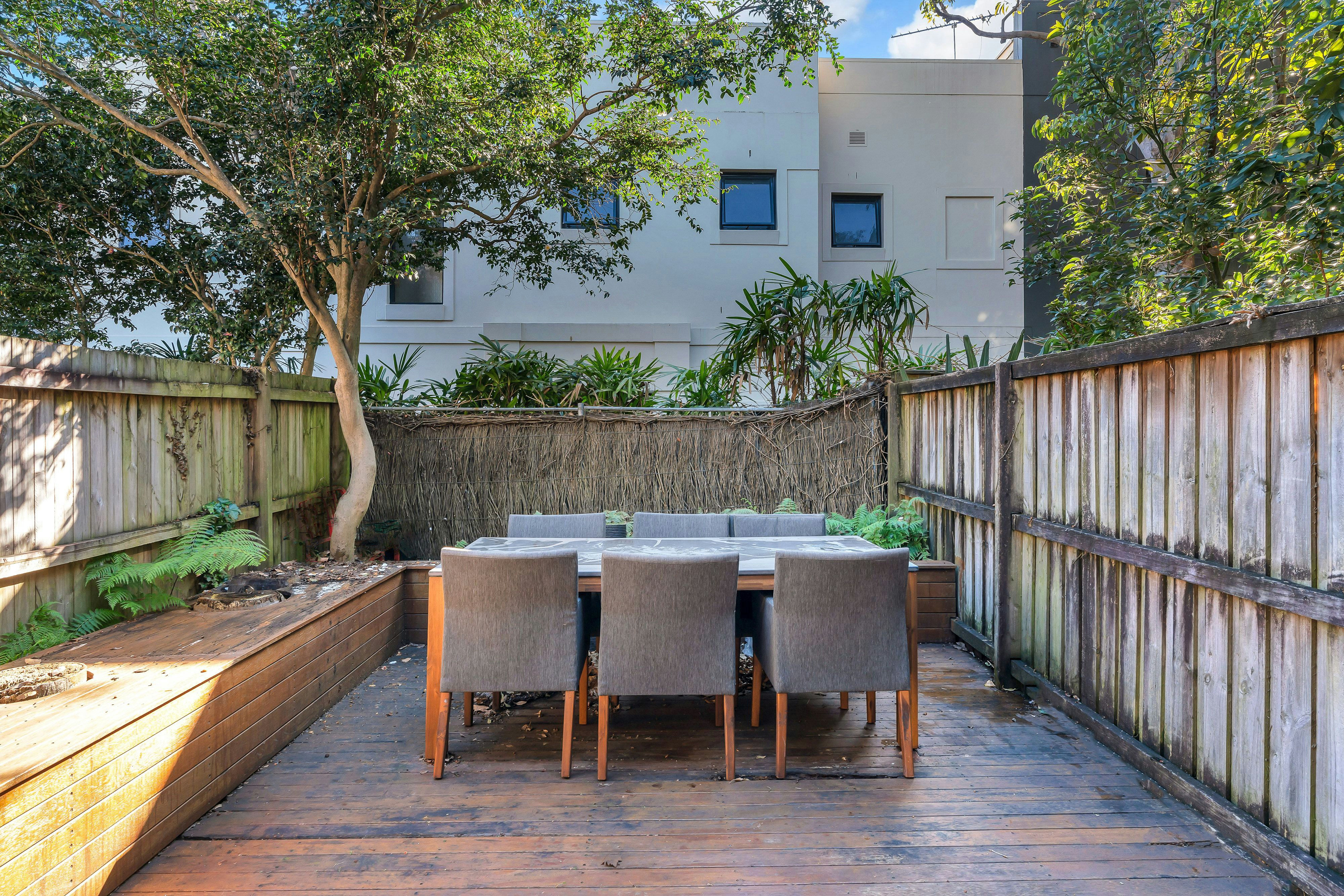 Image of backyard
