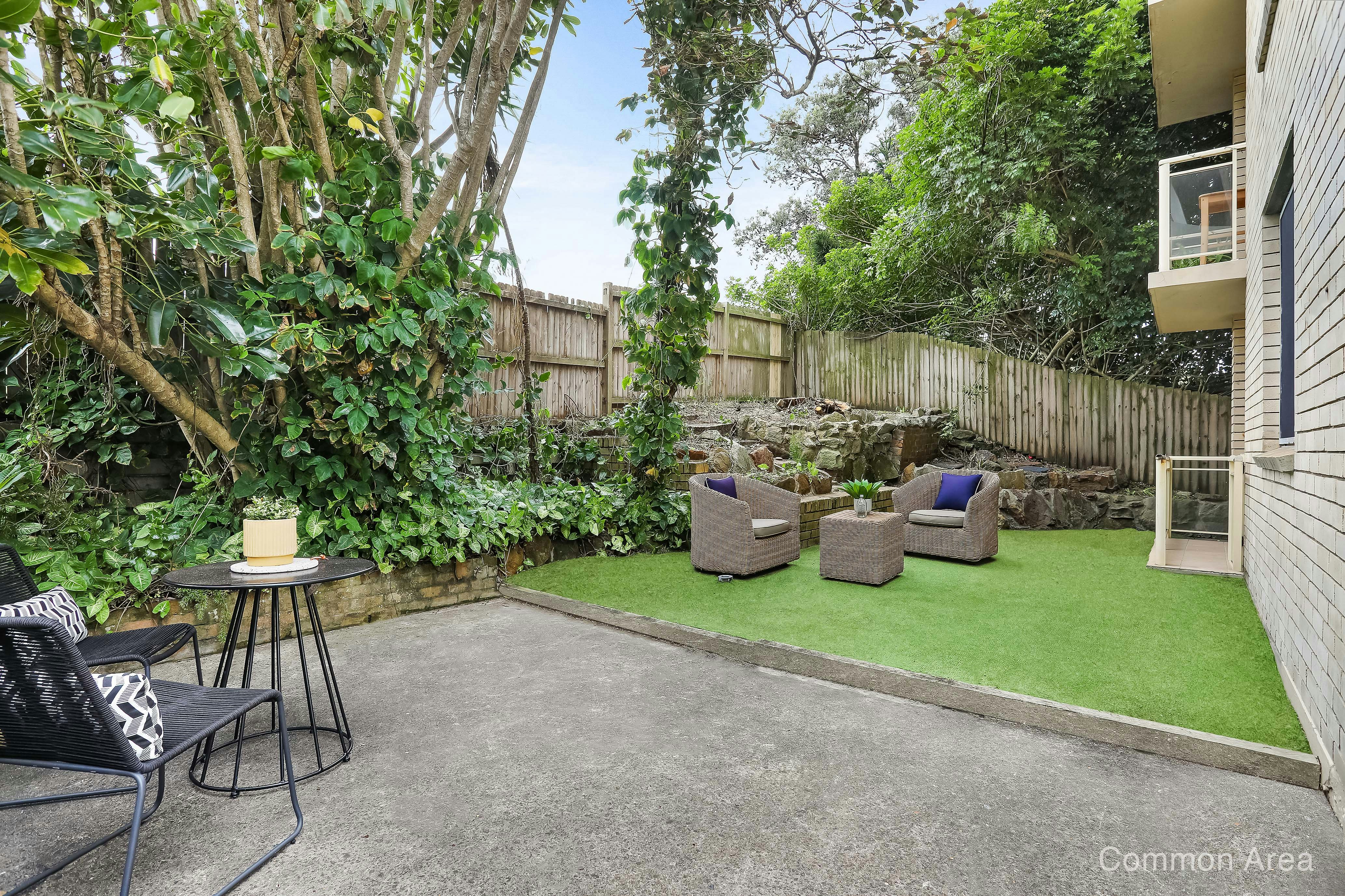 Image of backyard