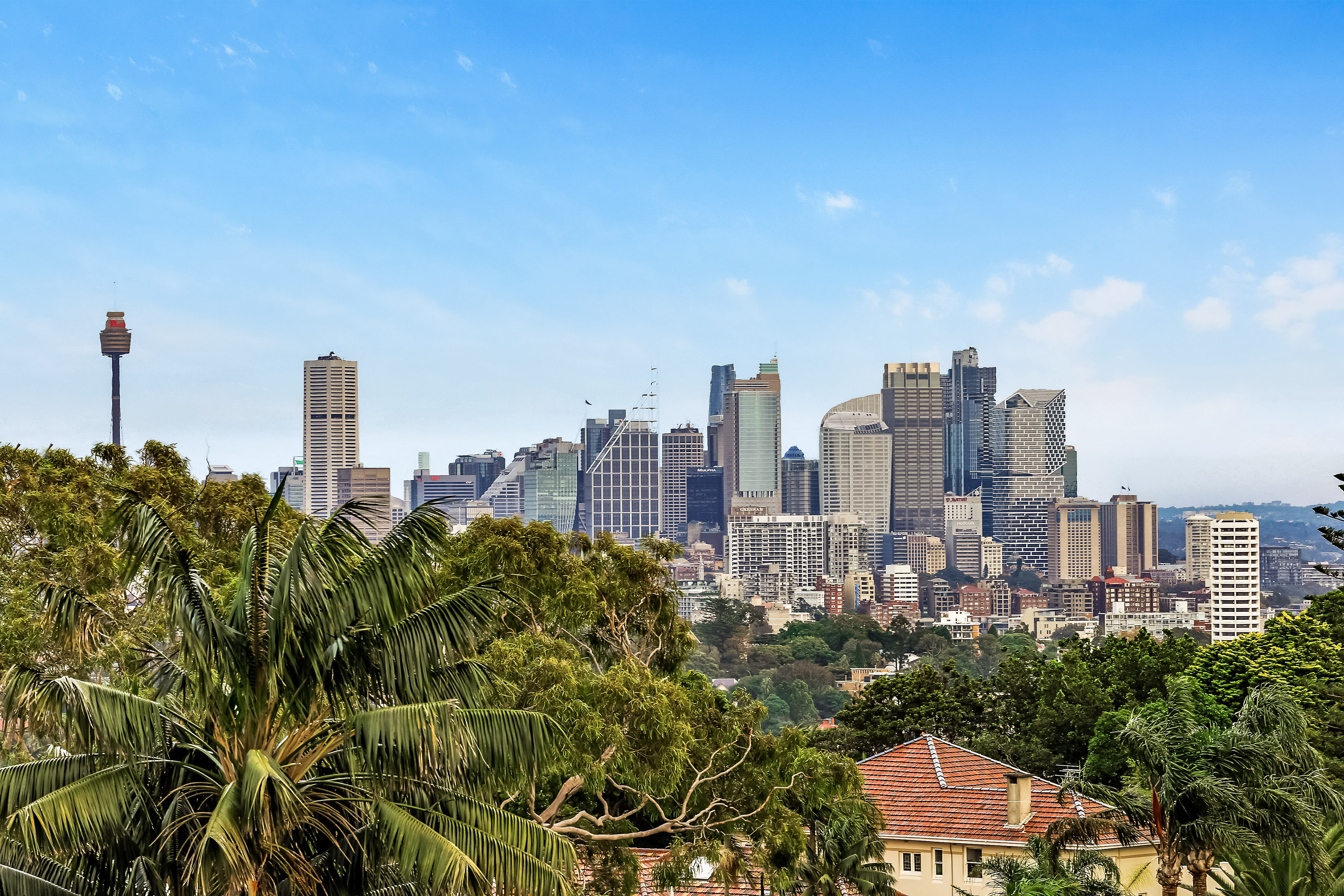 12 March Street, Bellevue Hill - Thumbnail 6