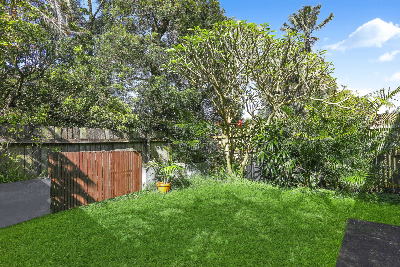 20 O'Donnell Street, North Bondi - Thumbnail 6