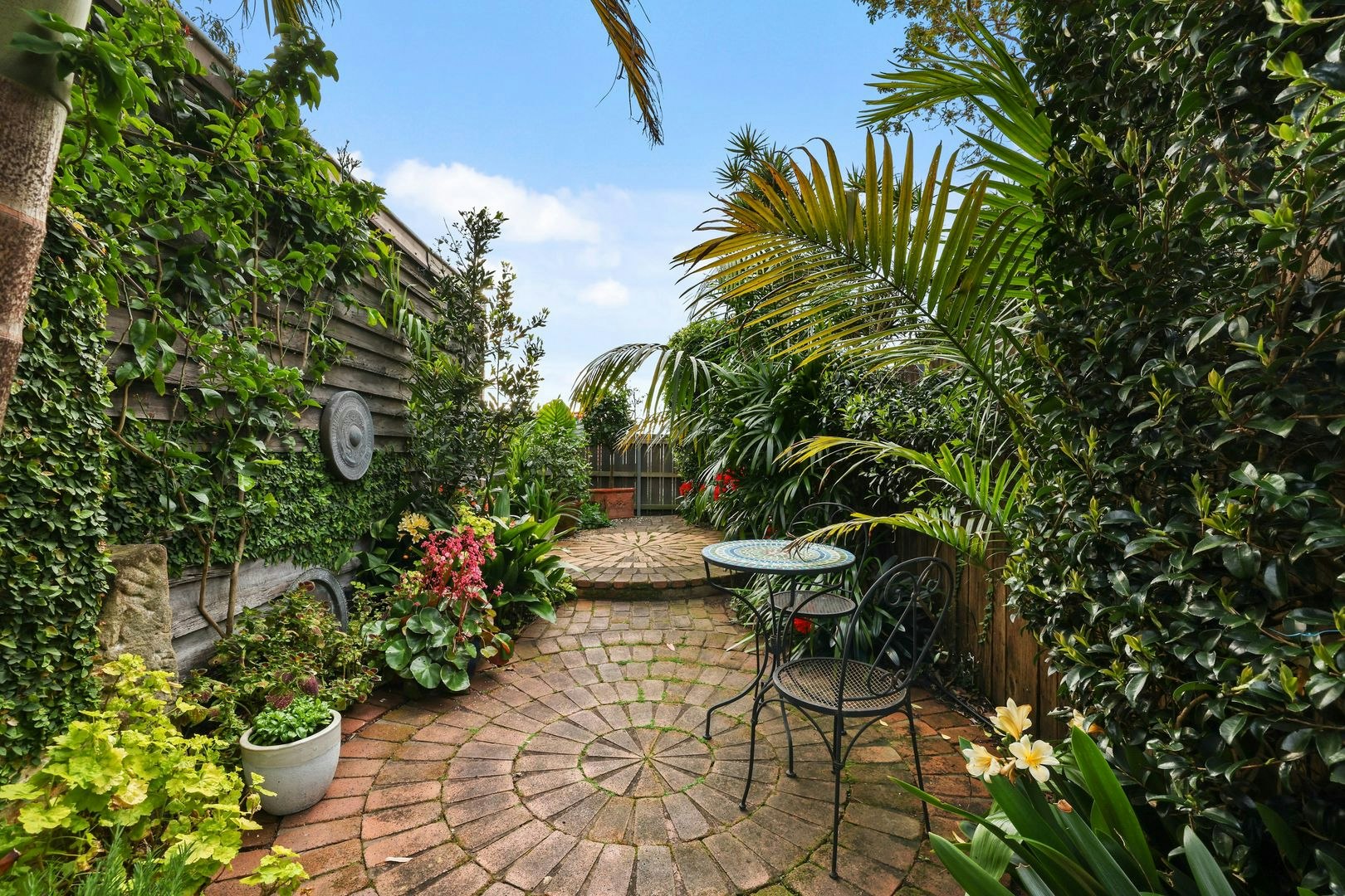24 Chuter Street, Mcmahons Point NSW