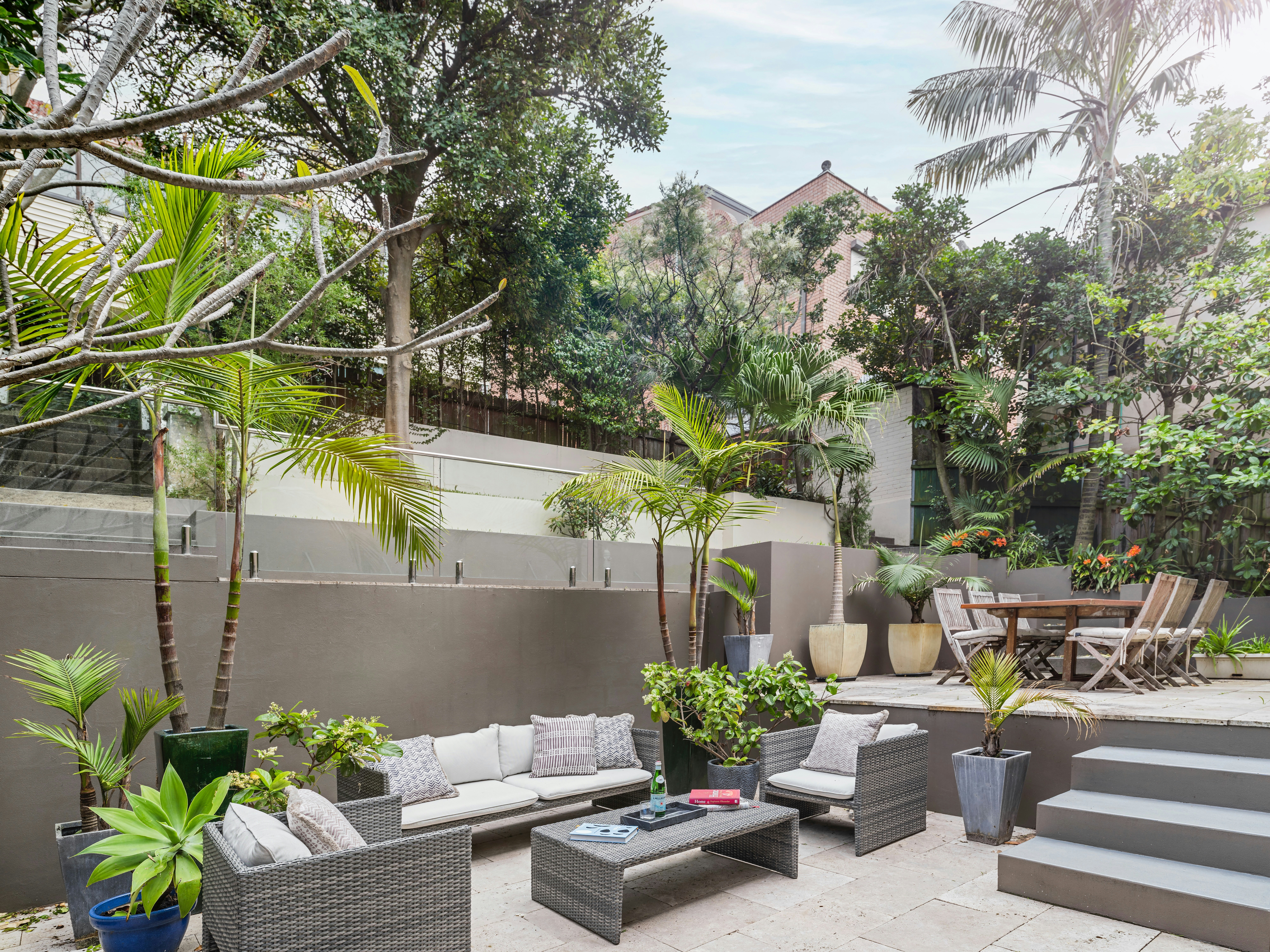 Image of backyard