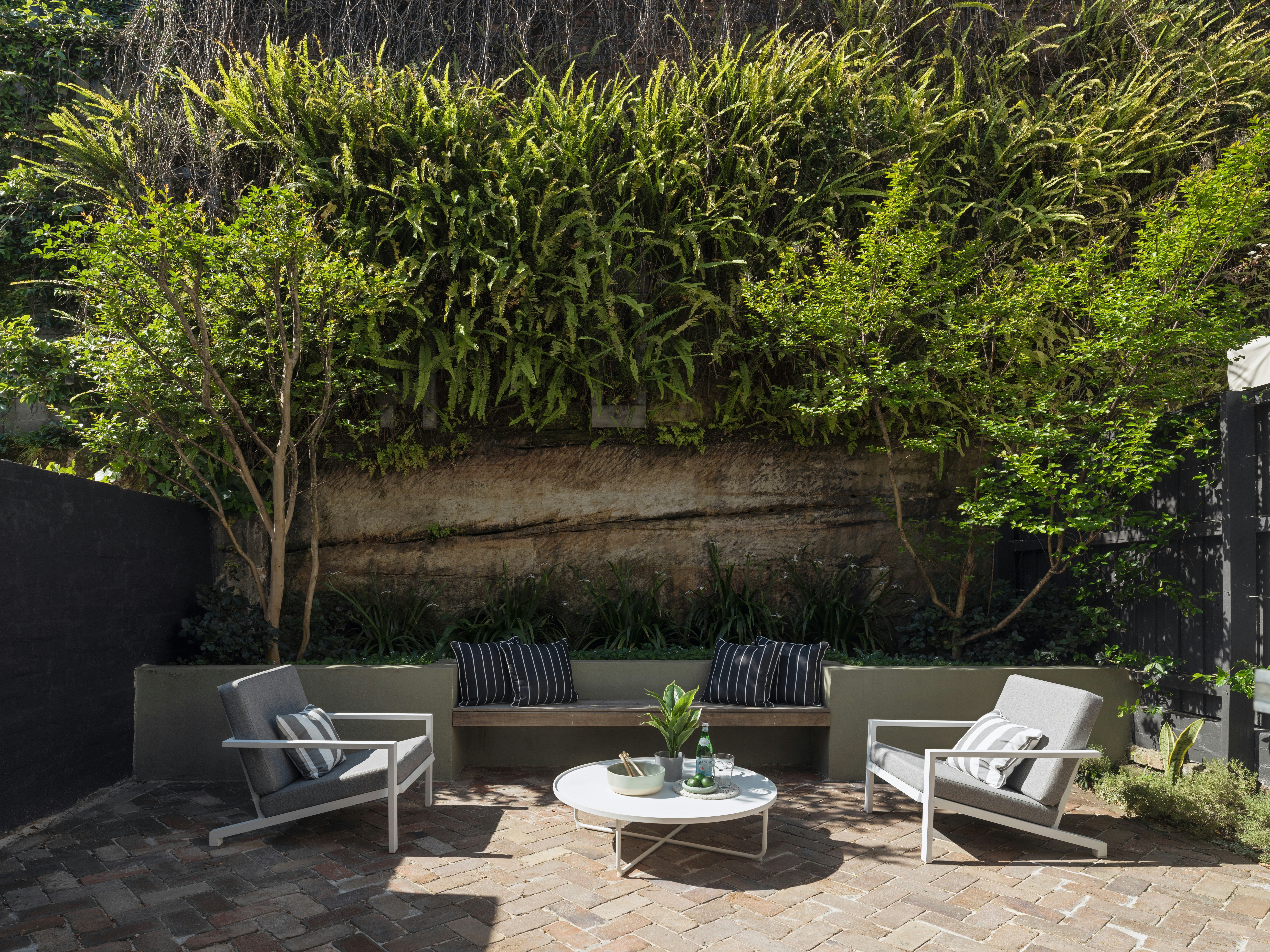 Image of backyard