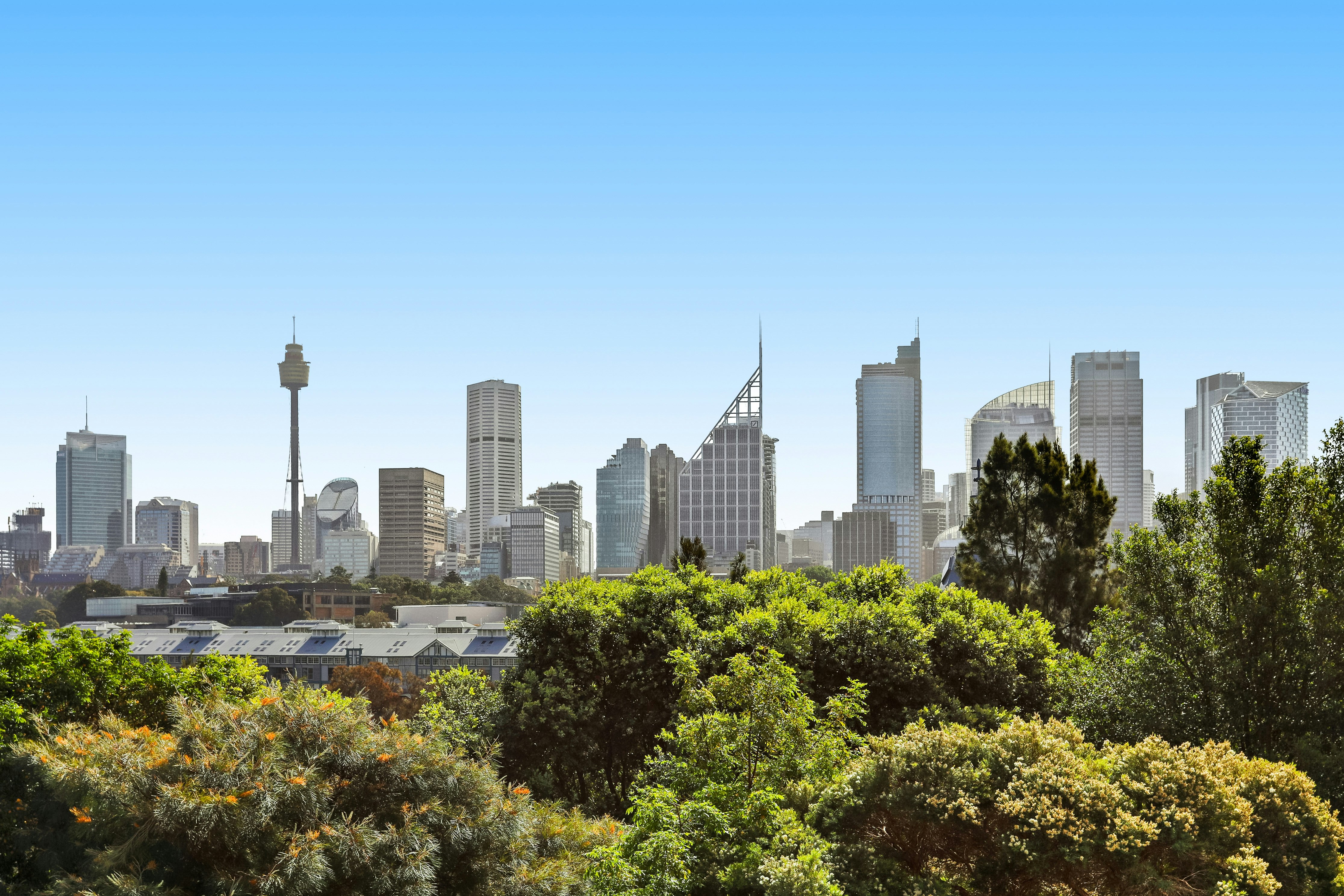 Image of city