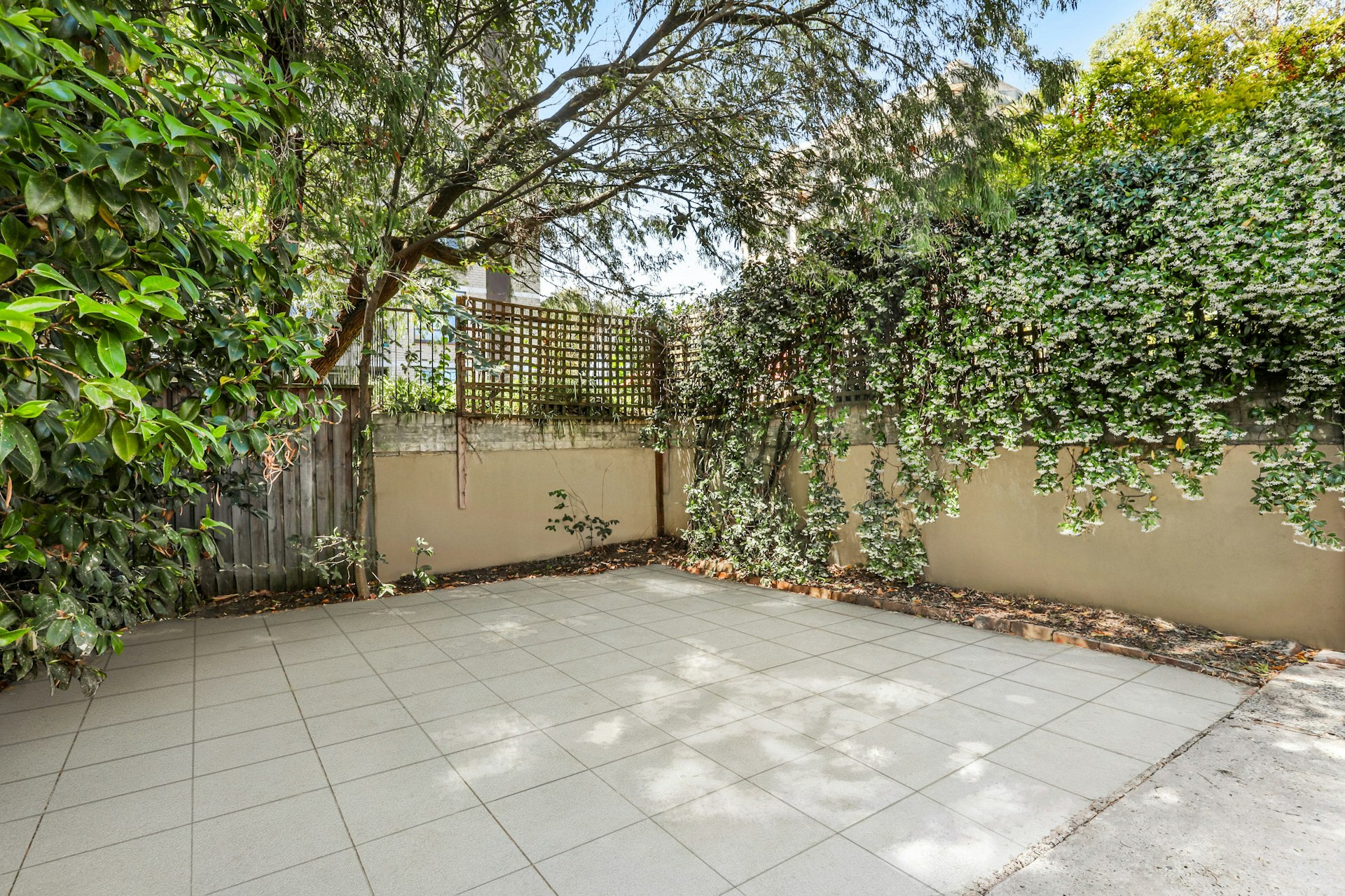 18 Council Street, Bondi Junction NSW