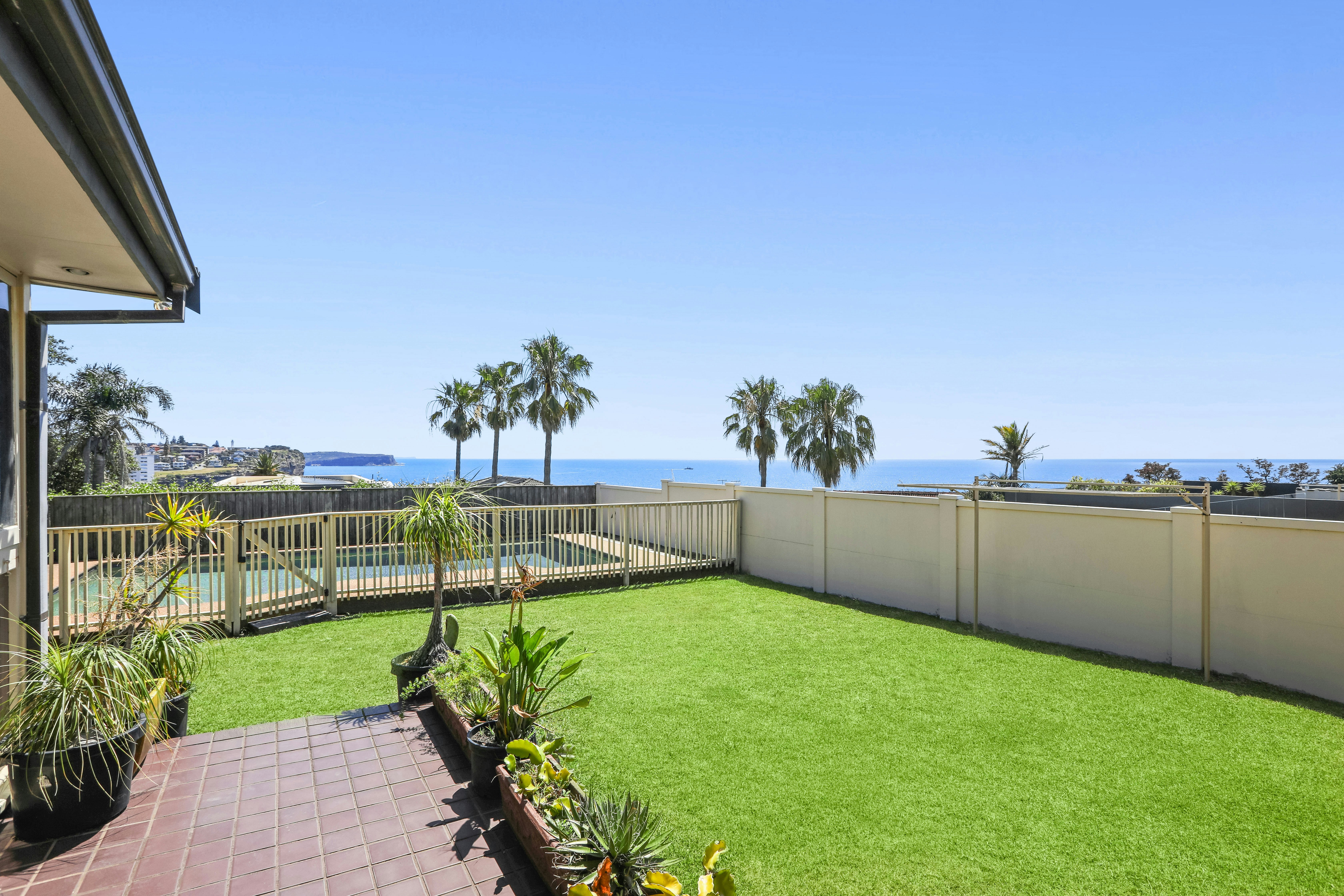 Image of backyard