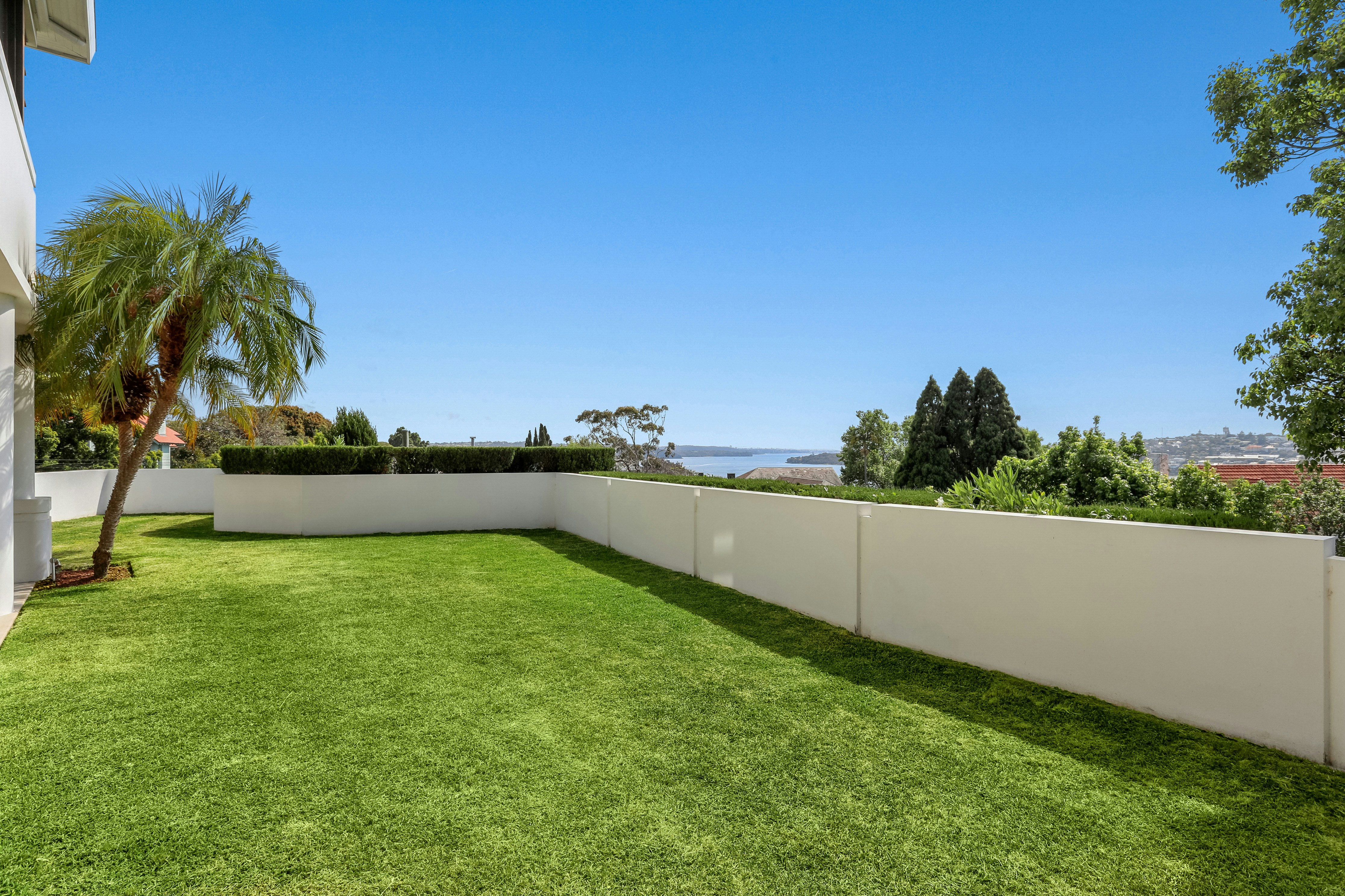 Image of grass