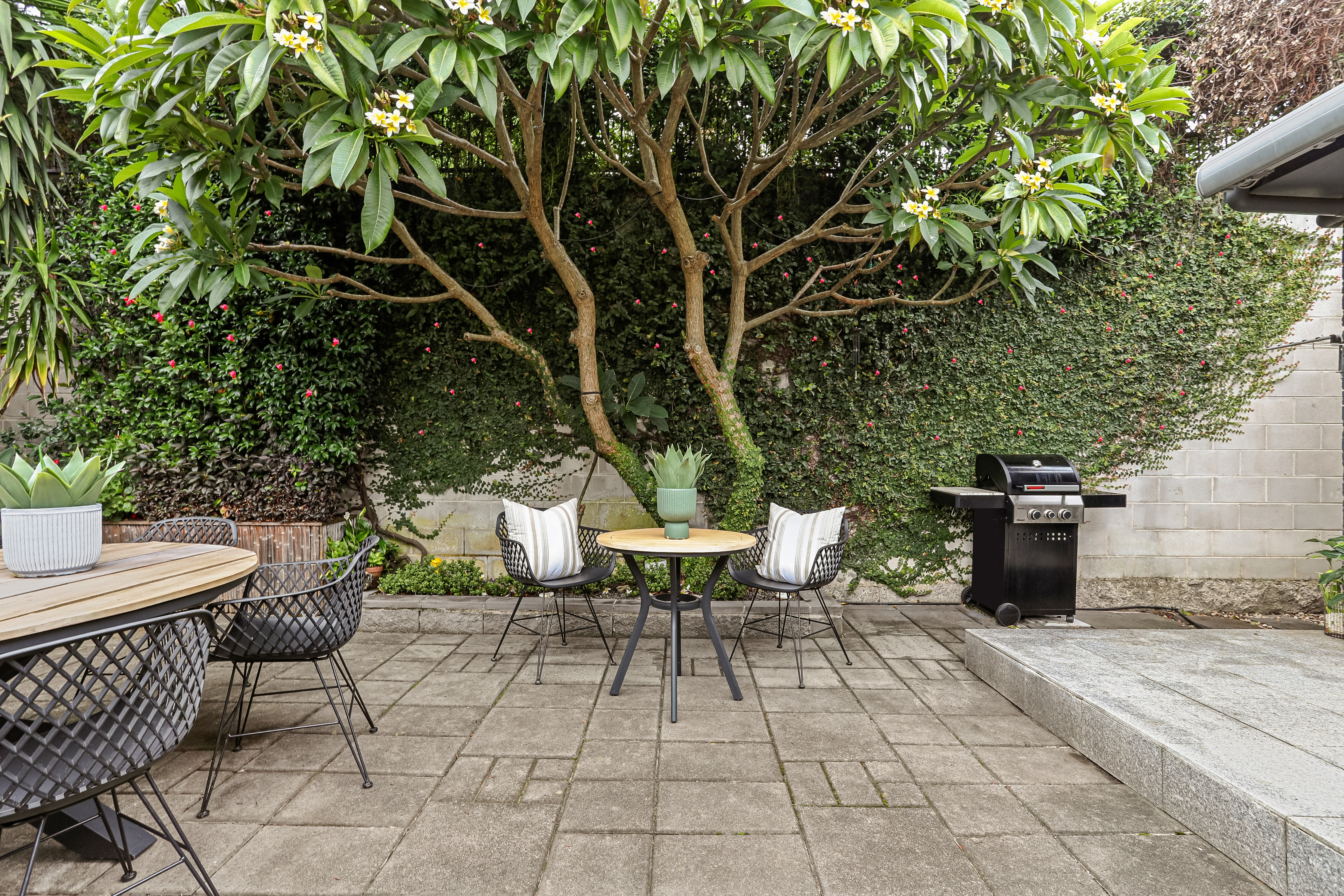 20A Strickland Street, Rose Bay - Thumbnail 5