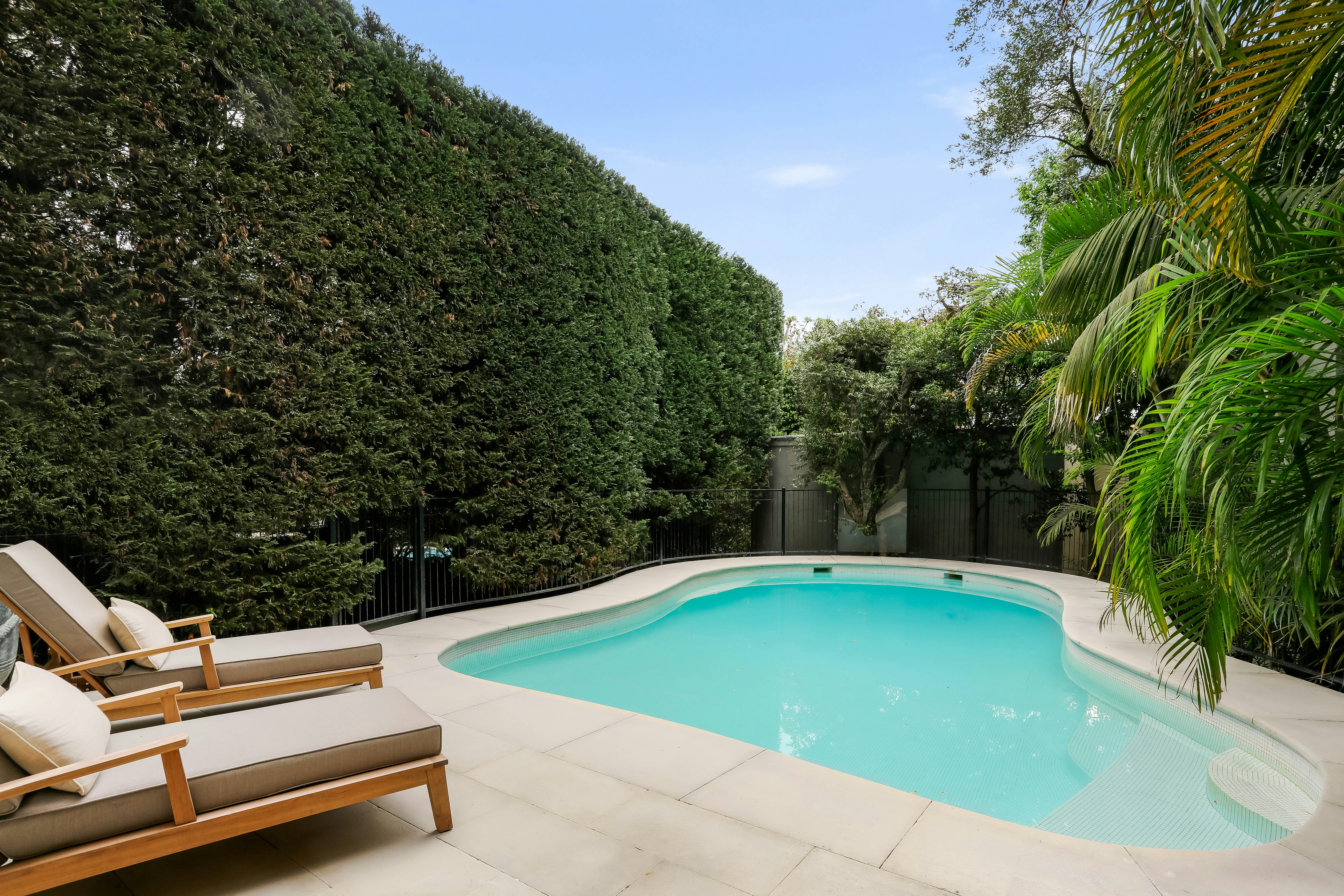 Image of backyard