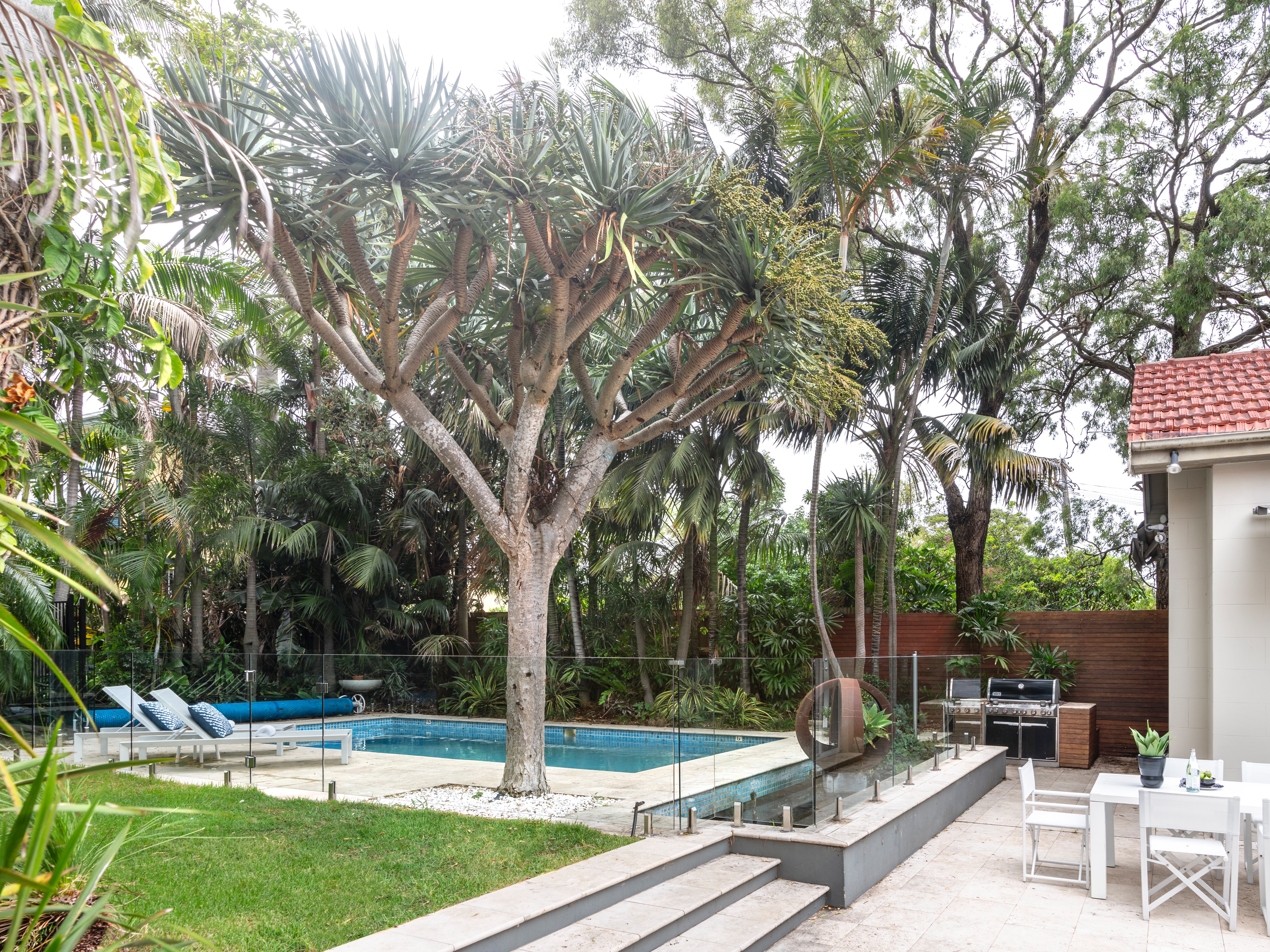 65 Samuel Terry Avenue, Kensington - Thumbnail 7