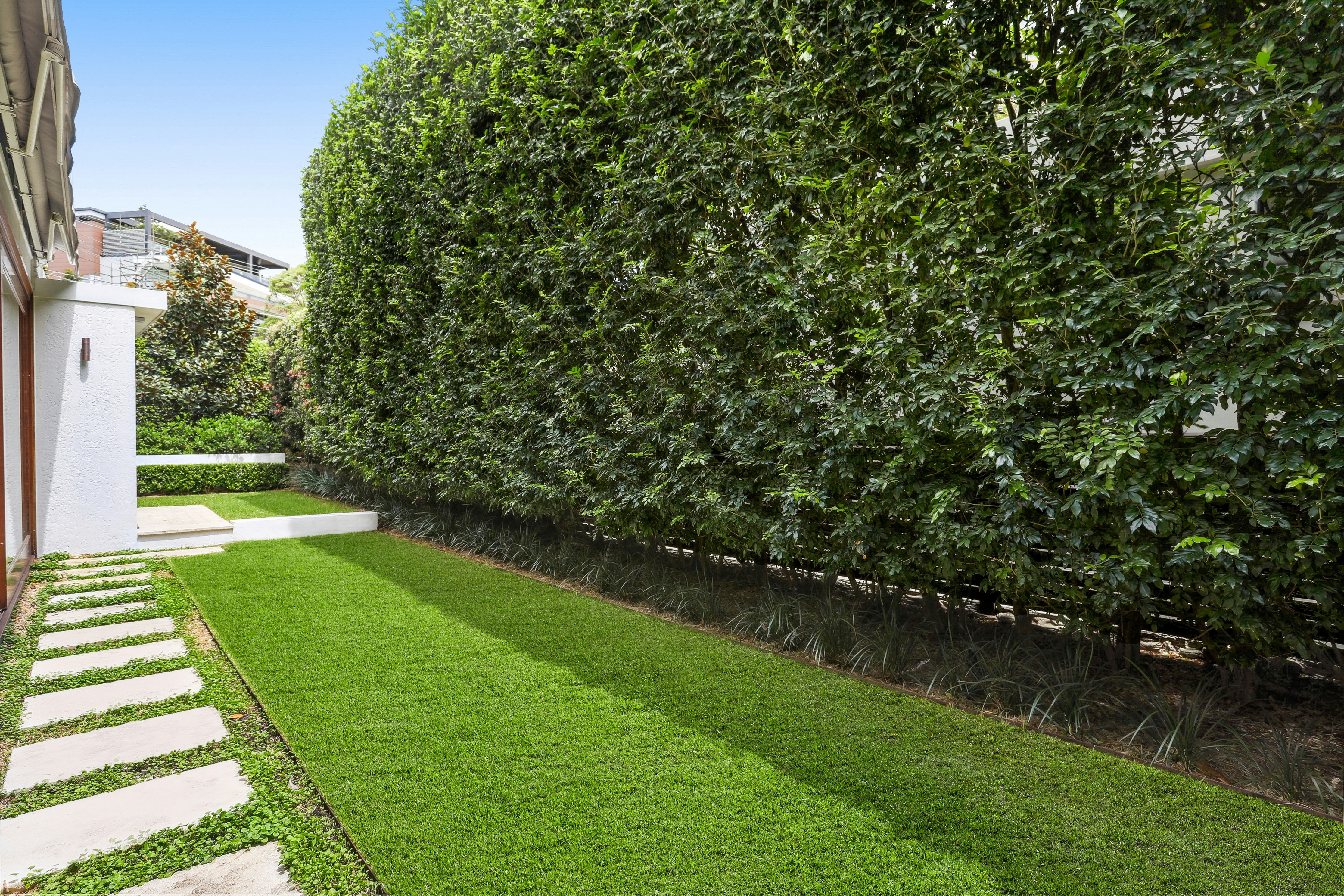 Image of grass
