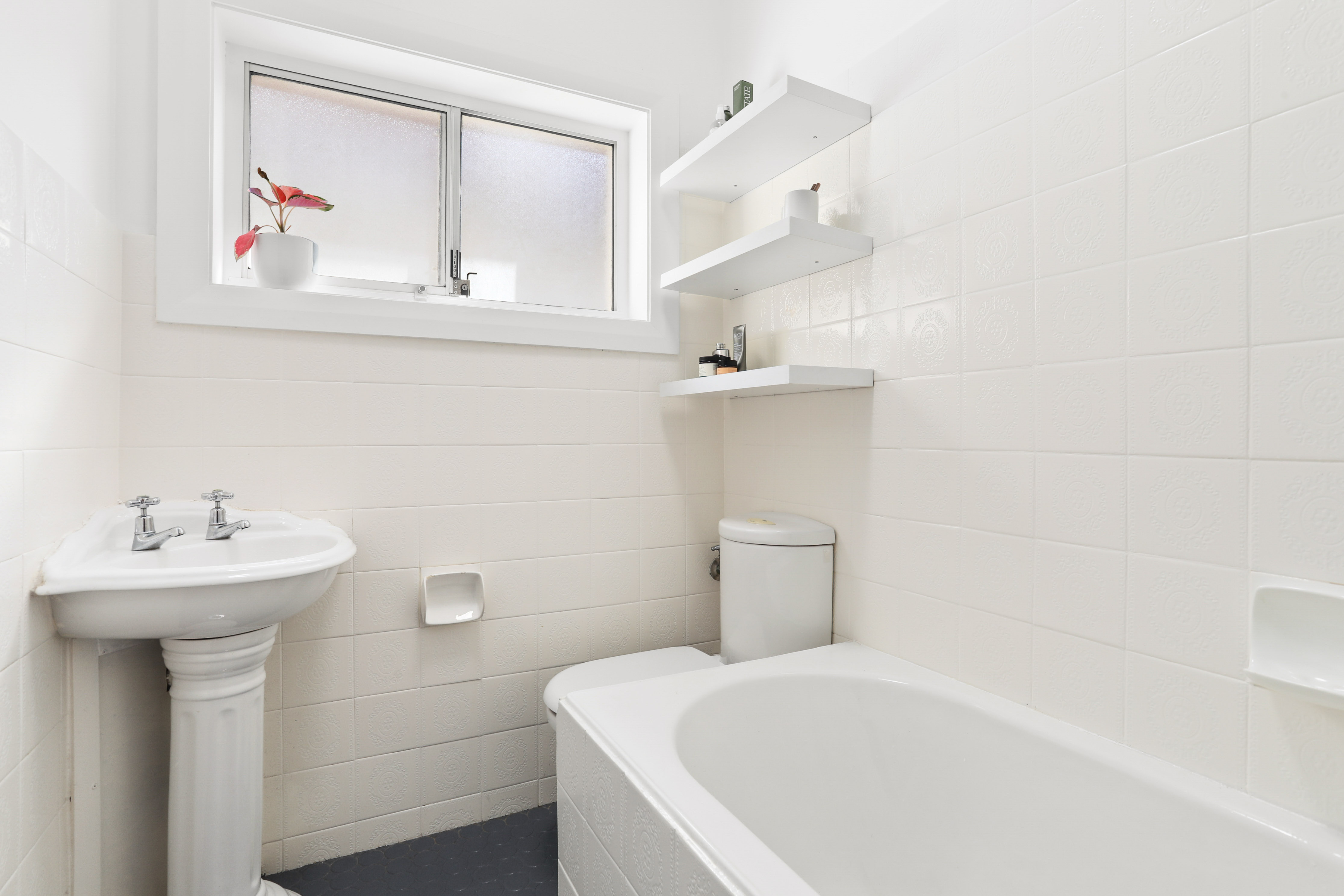 9 Avoca Street, Randwick - Thumbnail 6
